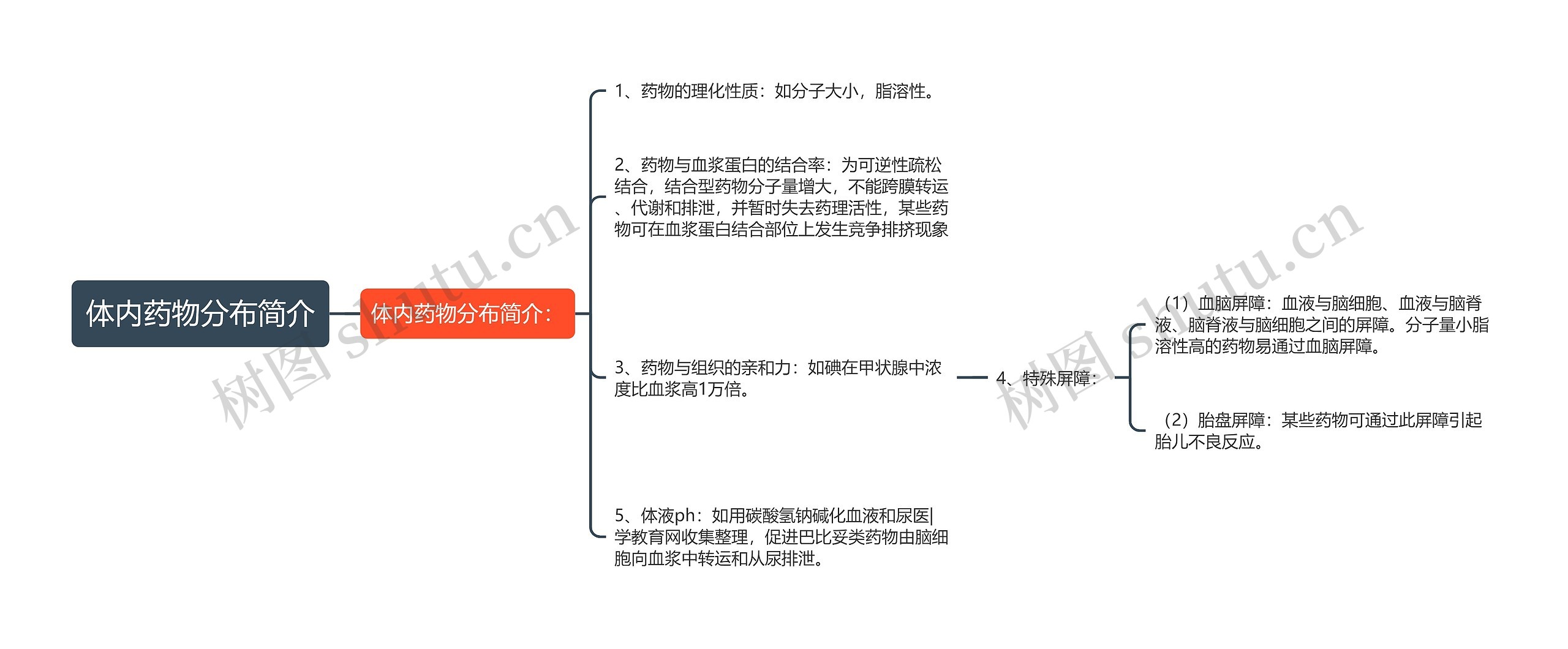 体内药物分布简介