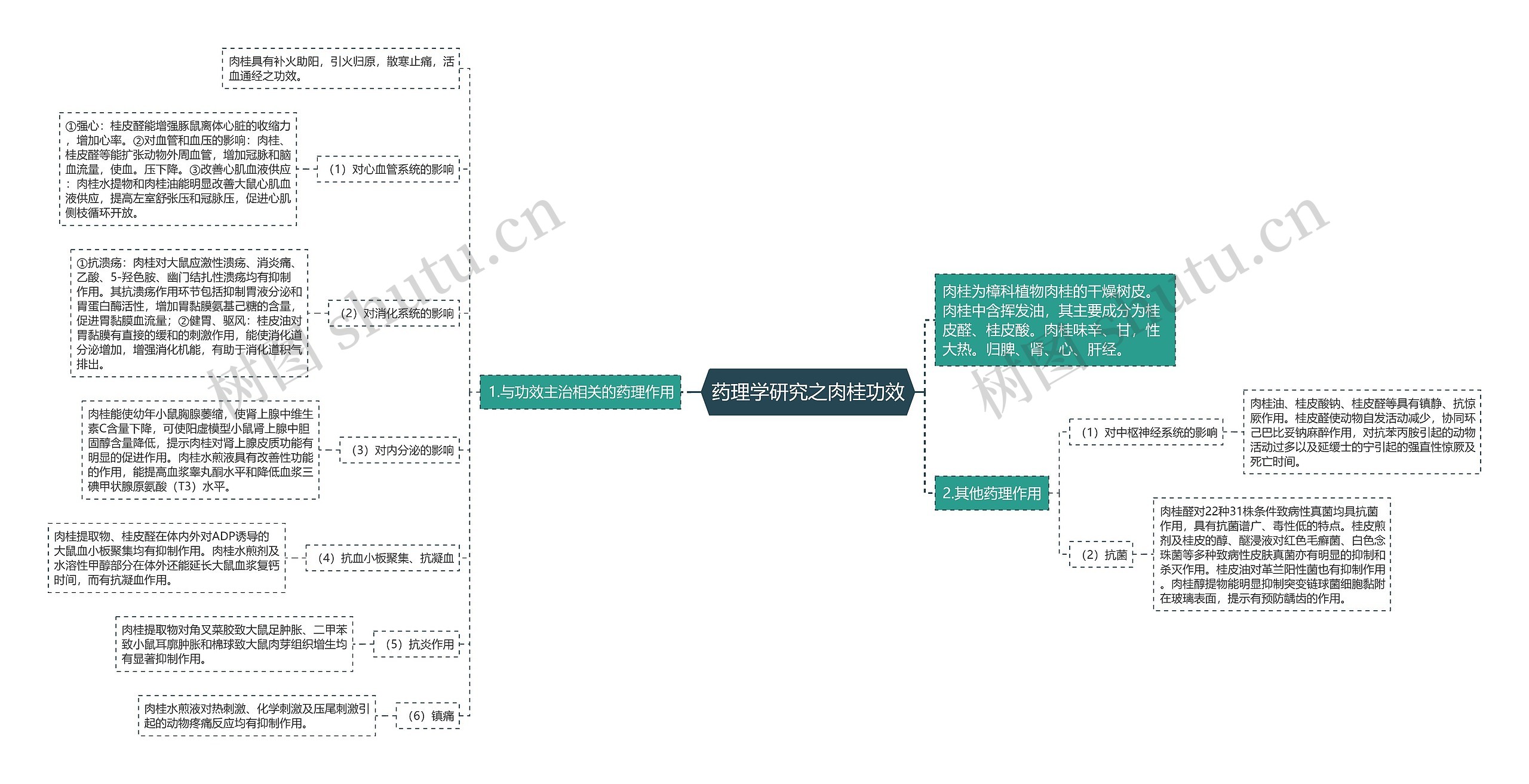 药理学研究之肉桂功效思维导图