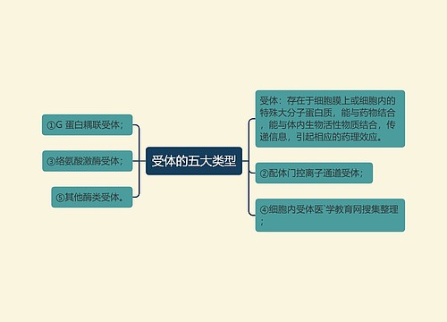 受体的五大类型