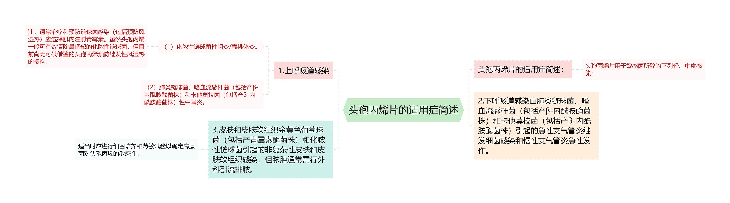 头孢丙烯片的适用症简述思维导图