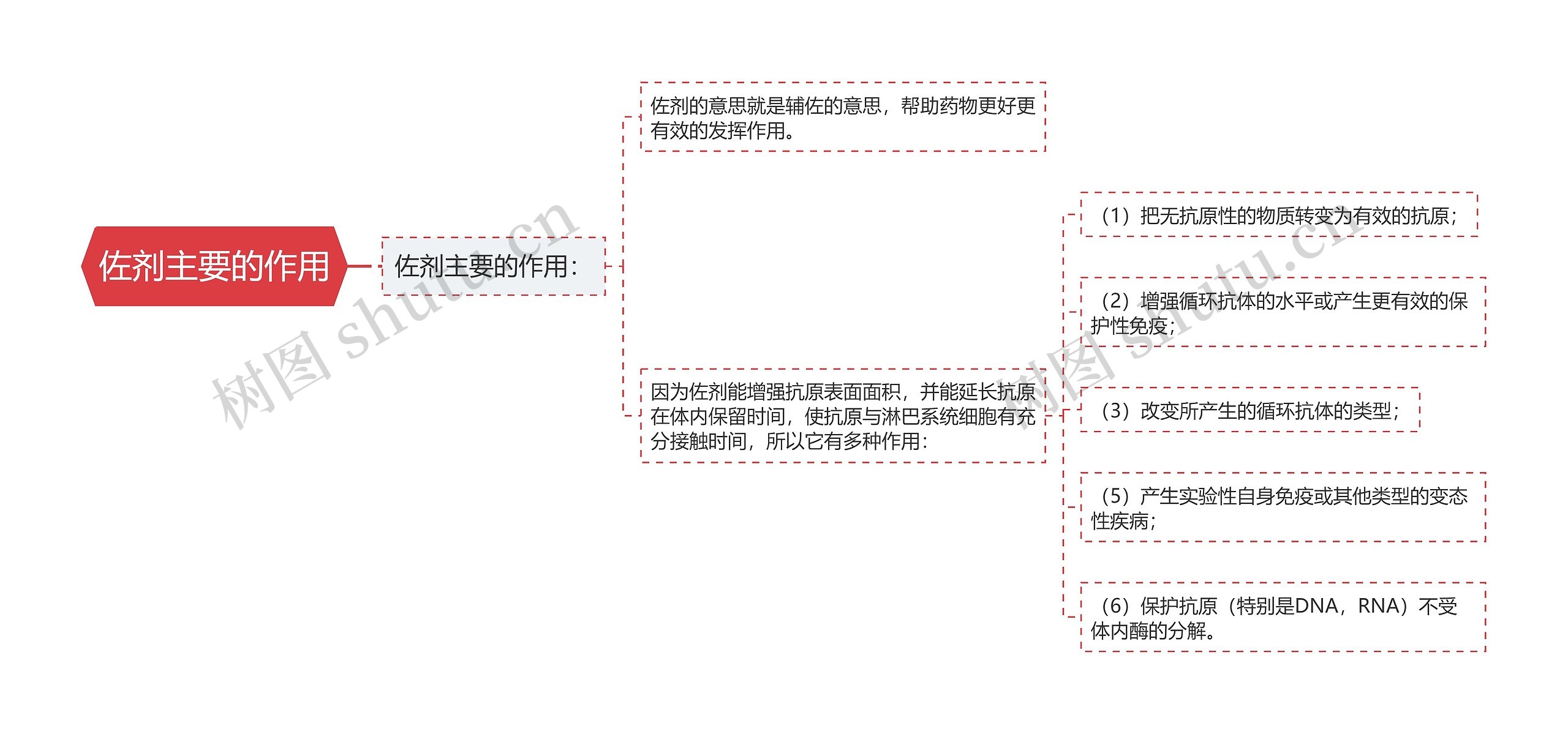 佐剂主要的作用思维导图