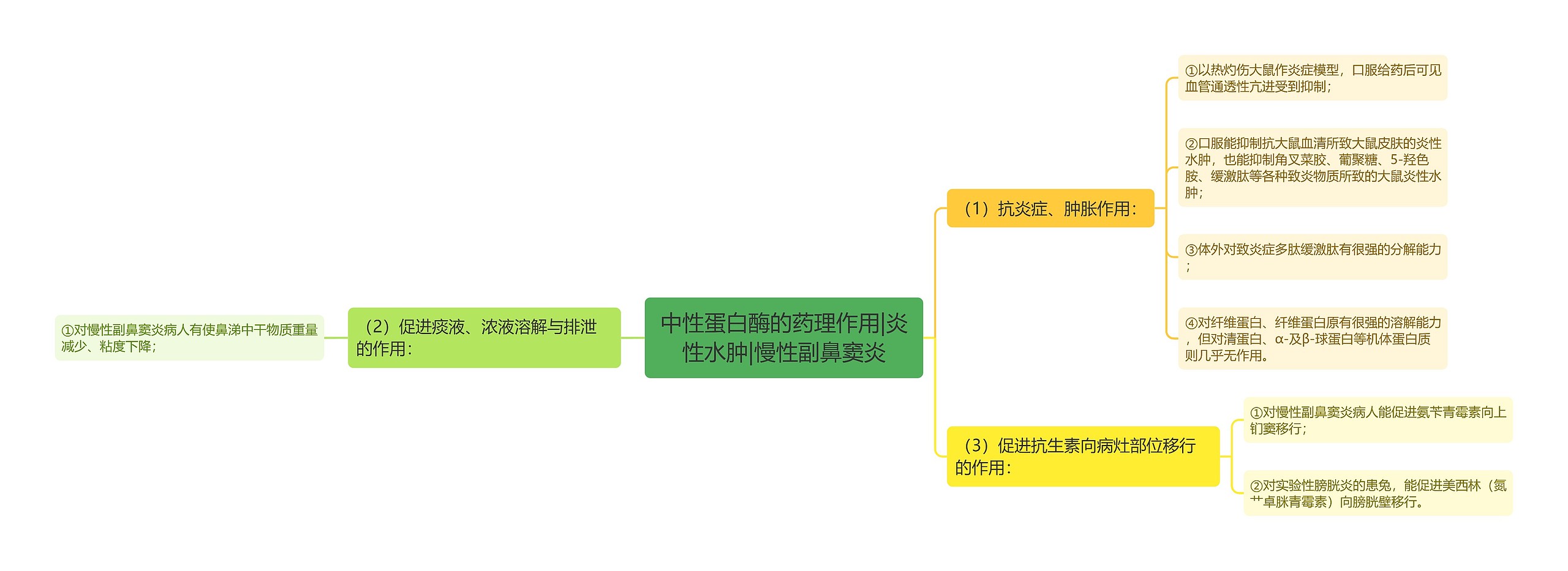 中性蛋白酶的药理作用|炎性水肿|慢性副鼻窦炎思维导图