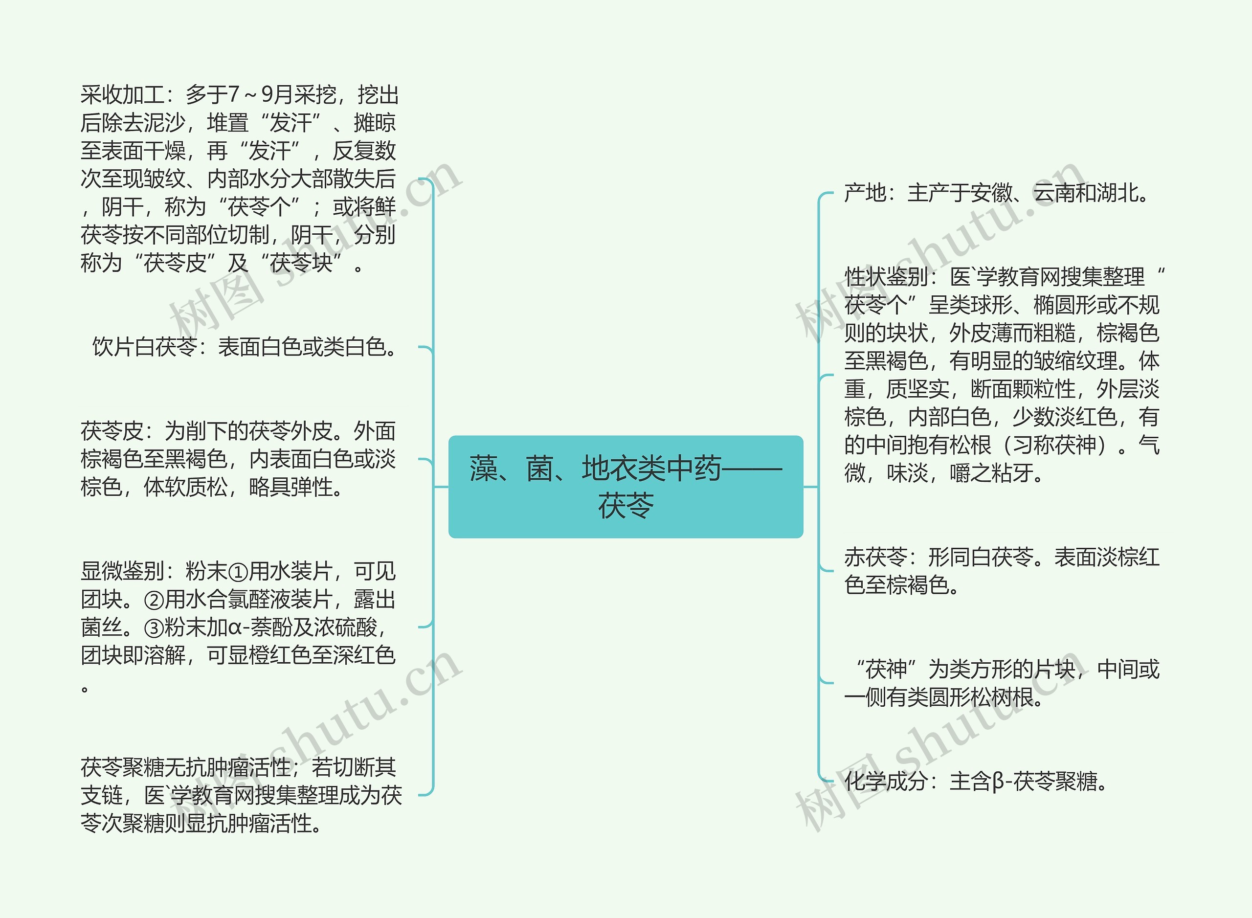 藻、菌、地衣类中药——茯苓思维导图