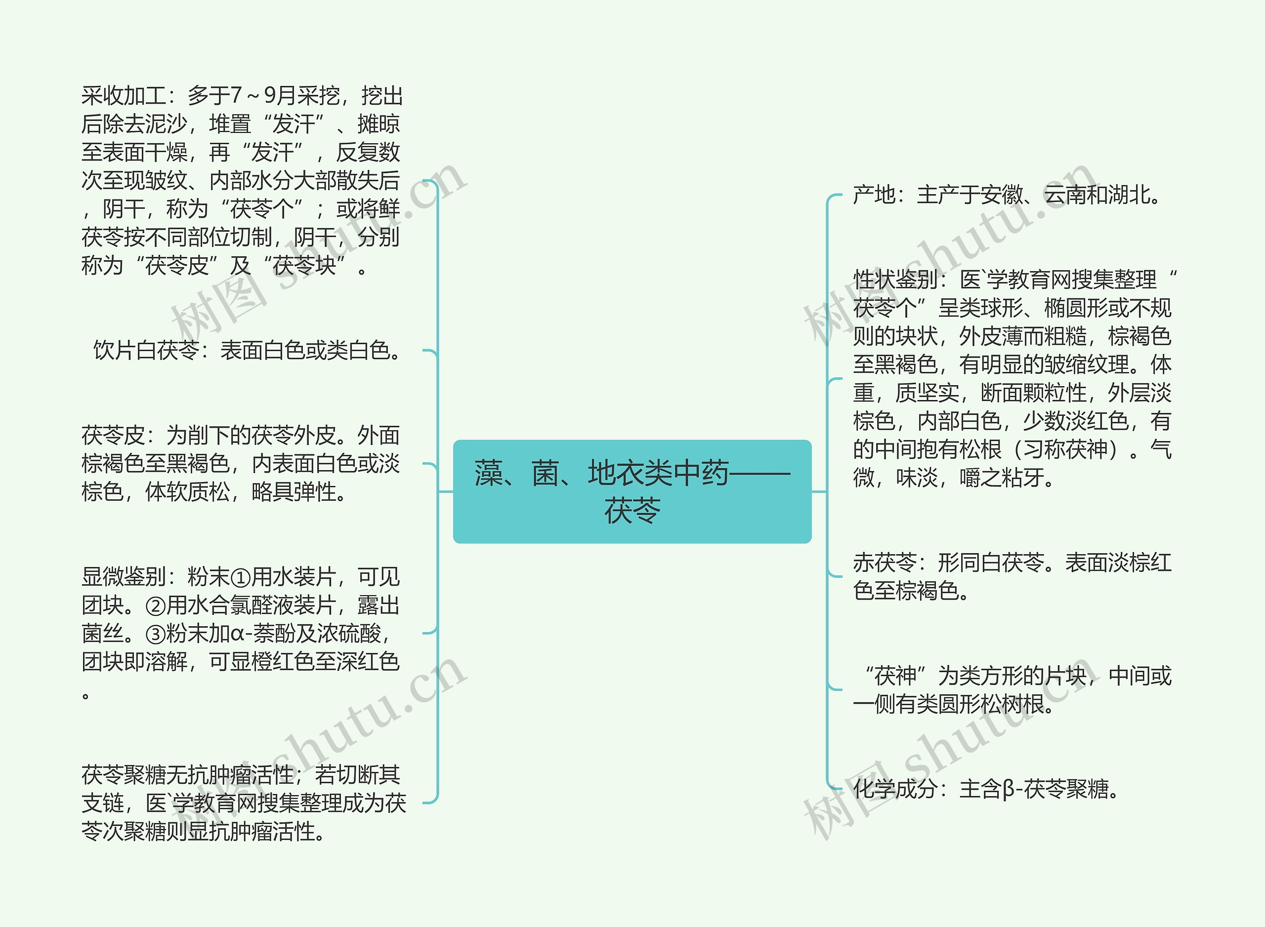 藻、菌、地衣类中药——茯苓 藻、菌、地衣类中药——茯苓