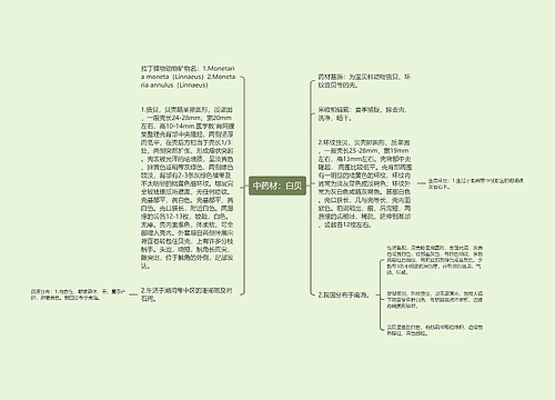 中药材：白贝思维导图