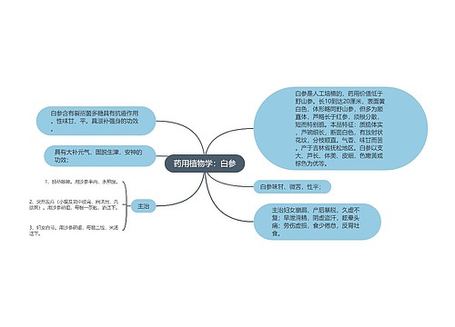 药用植物学：白参