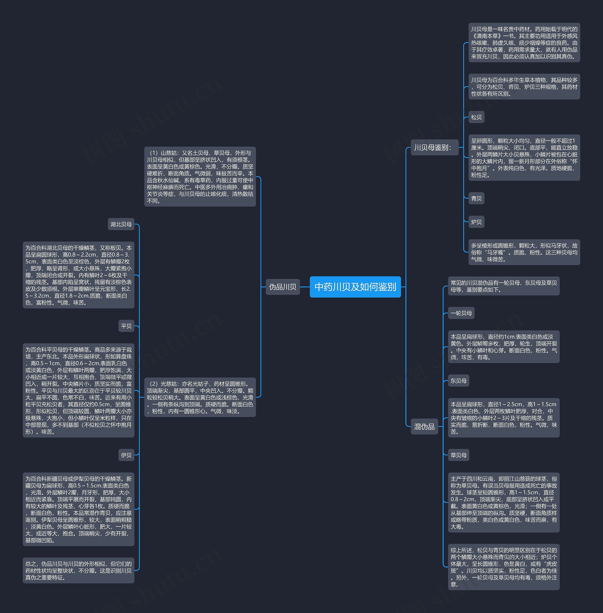 中药川贝及如何鉴别思维导图