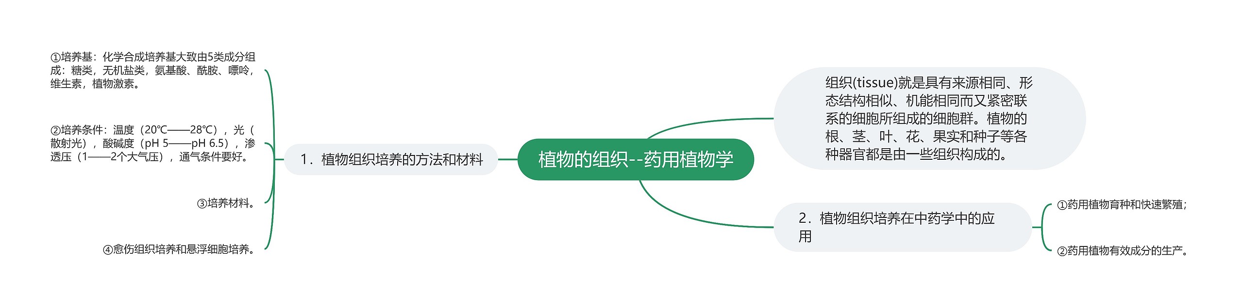 植物的组织--药用植物学思维导图