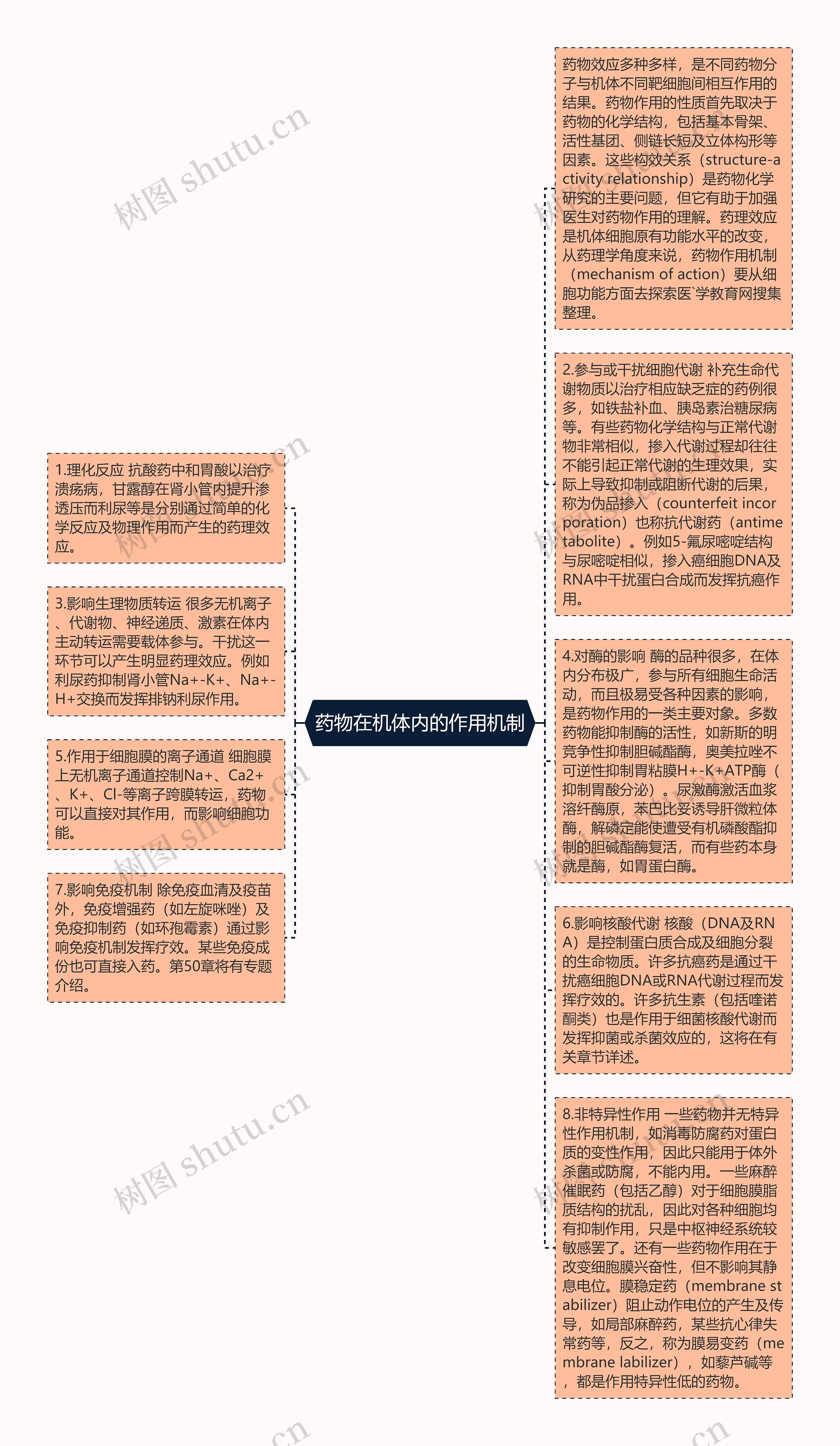 药物在机体内的作用机制