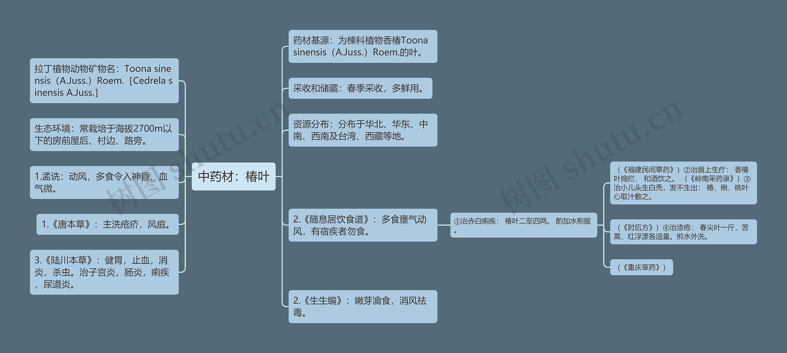 中药材：椿叶思维导图