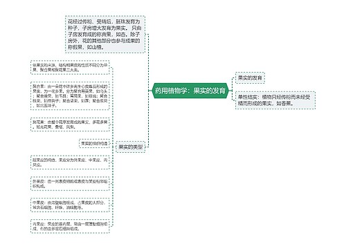 药用植物学：果实的发育