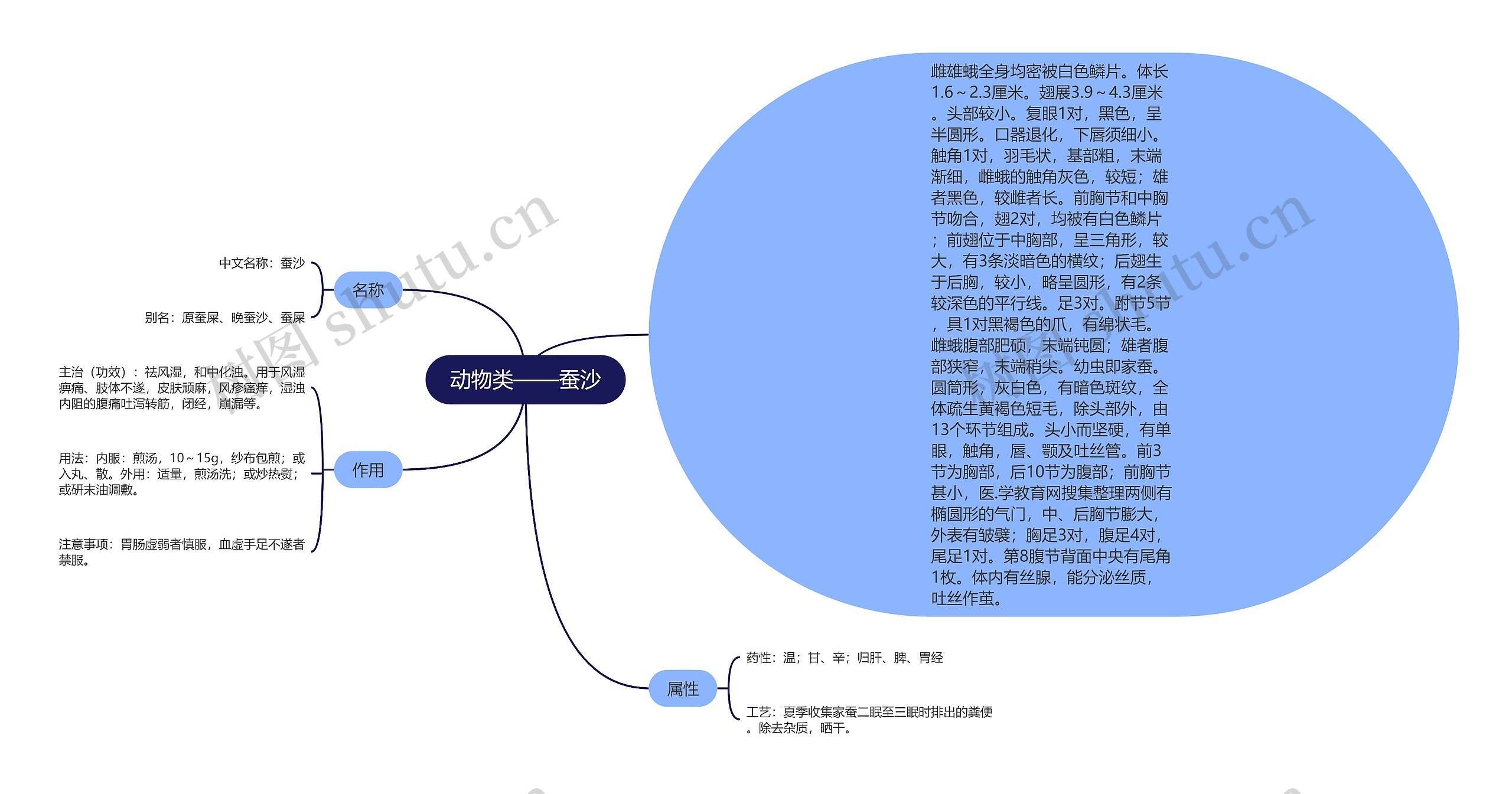 动物类——蚕沙思维导图