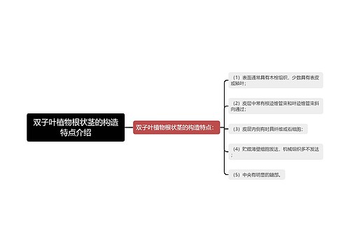 双子叶植物根状茎的构造特点介绍