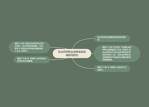 执业药师职业道德准则适用指导附则