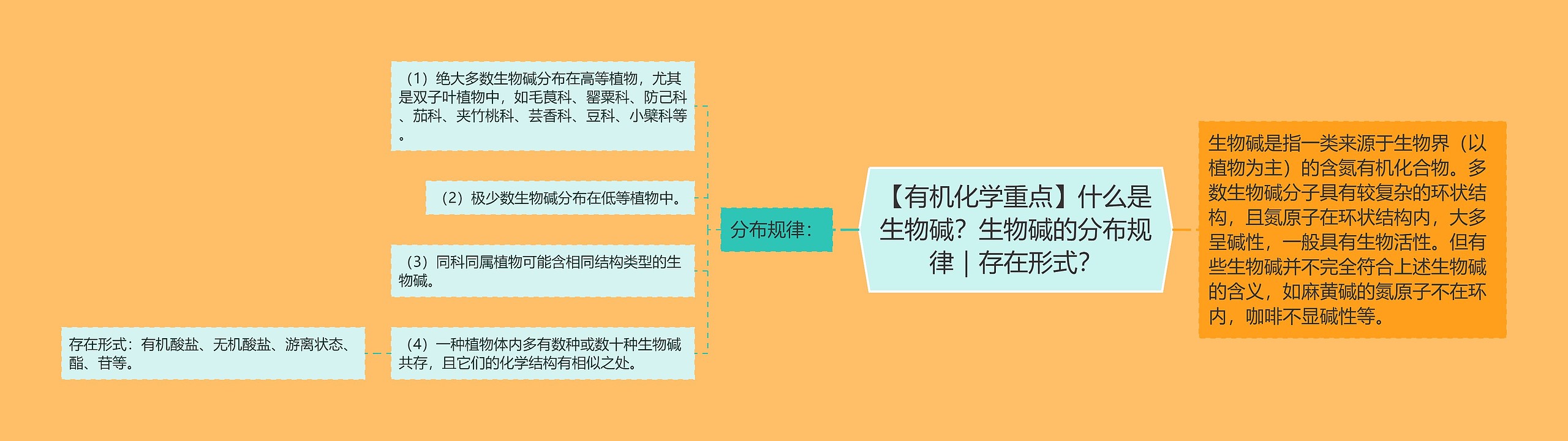 【有机化学重点】什么是生物碱？生物碱的分布规律｜存在形式？思维导图