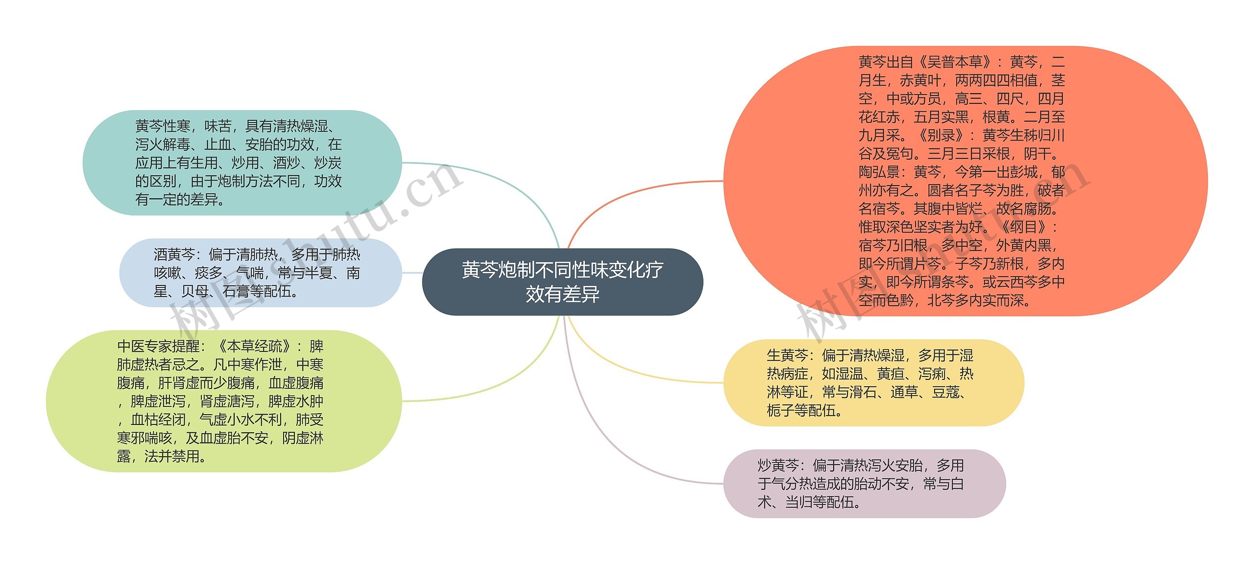 黄芩炮制不同性味变化疗效有差异思维导图