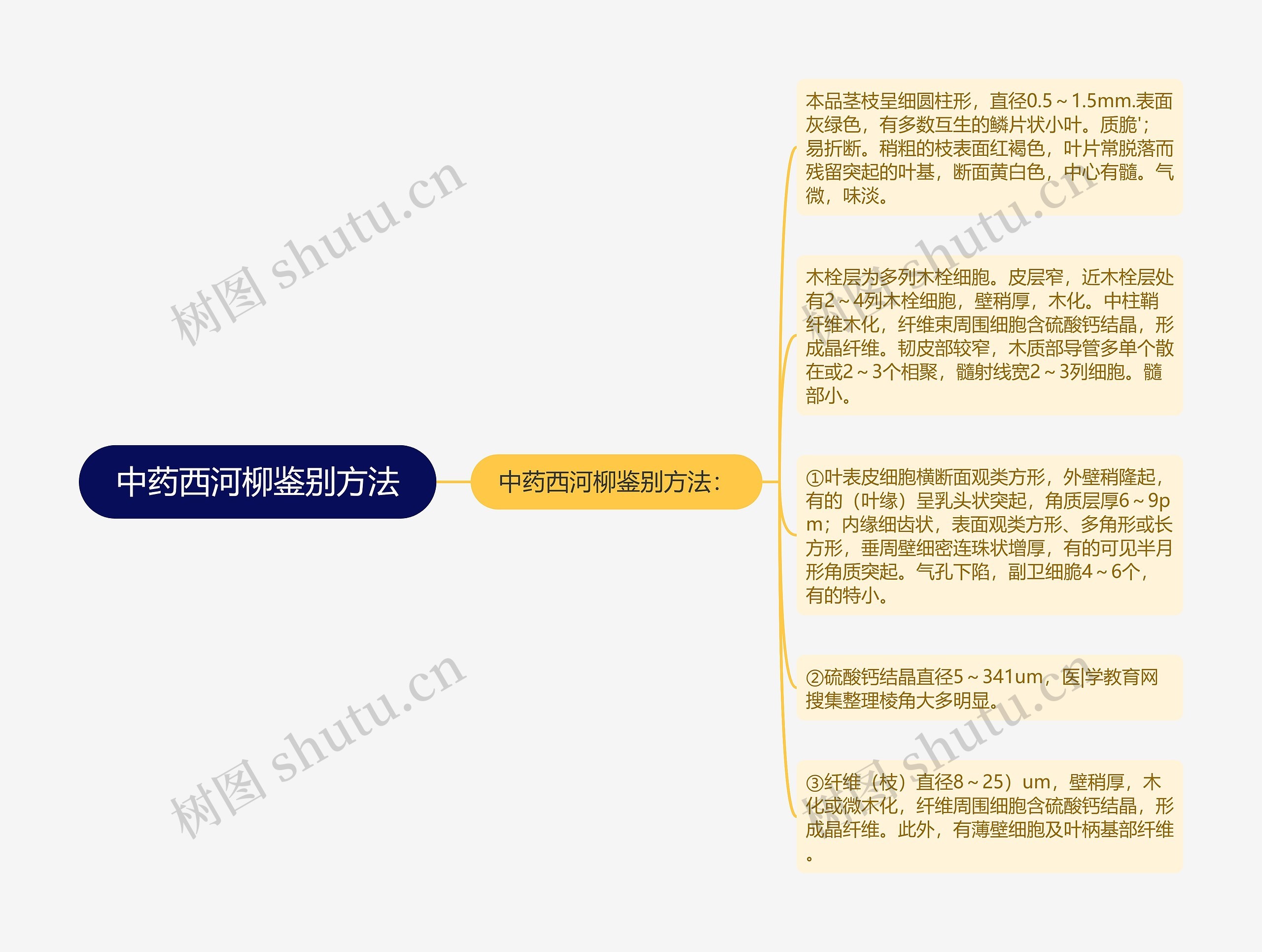 中药西河柳鉴别方法 中药西河柳鉴别方法