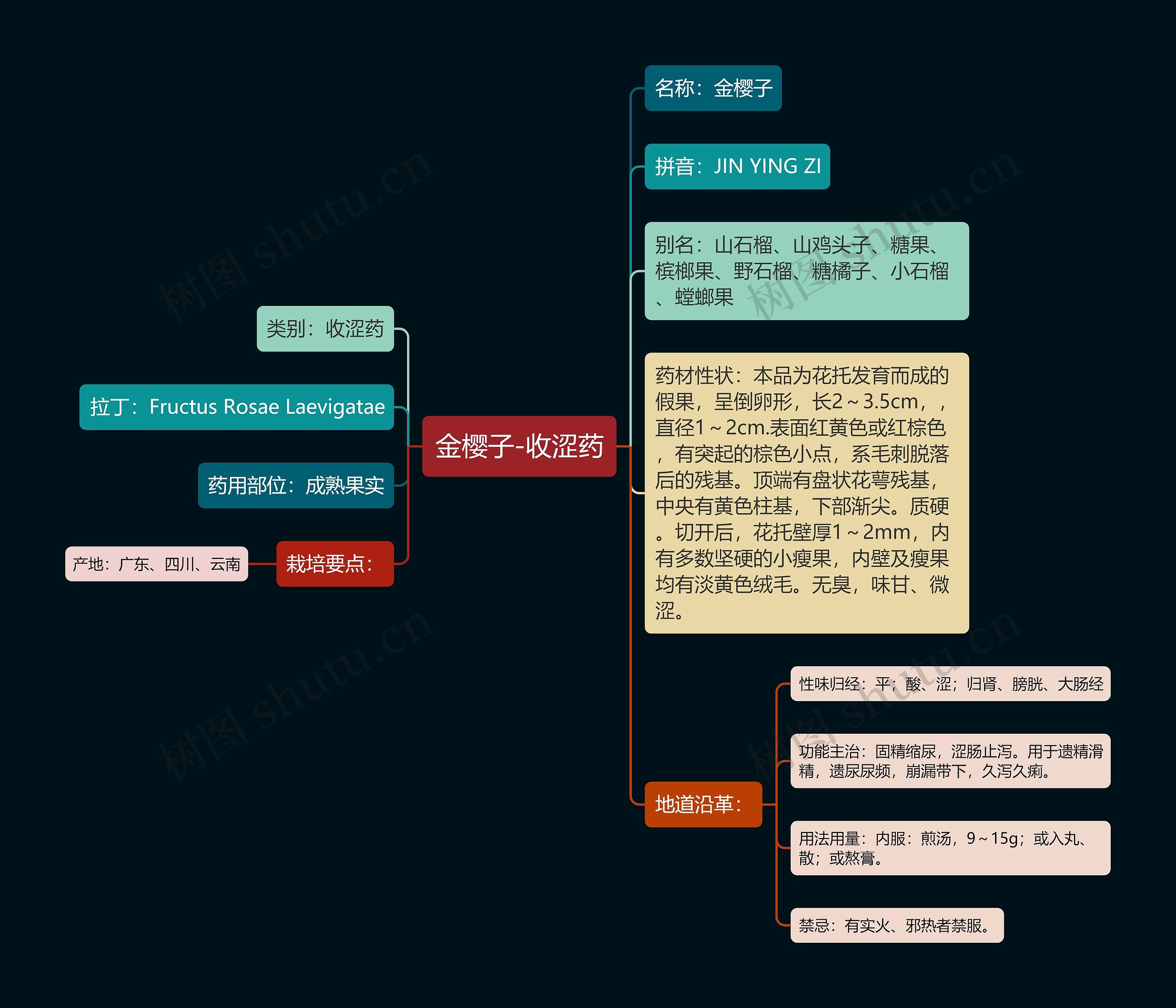 金樱子-收涩药思维导图