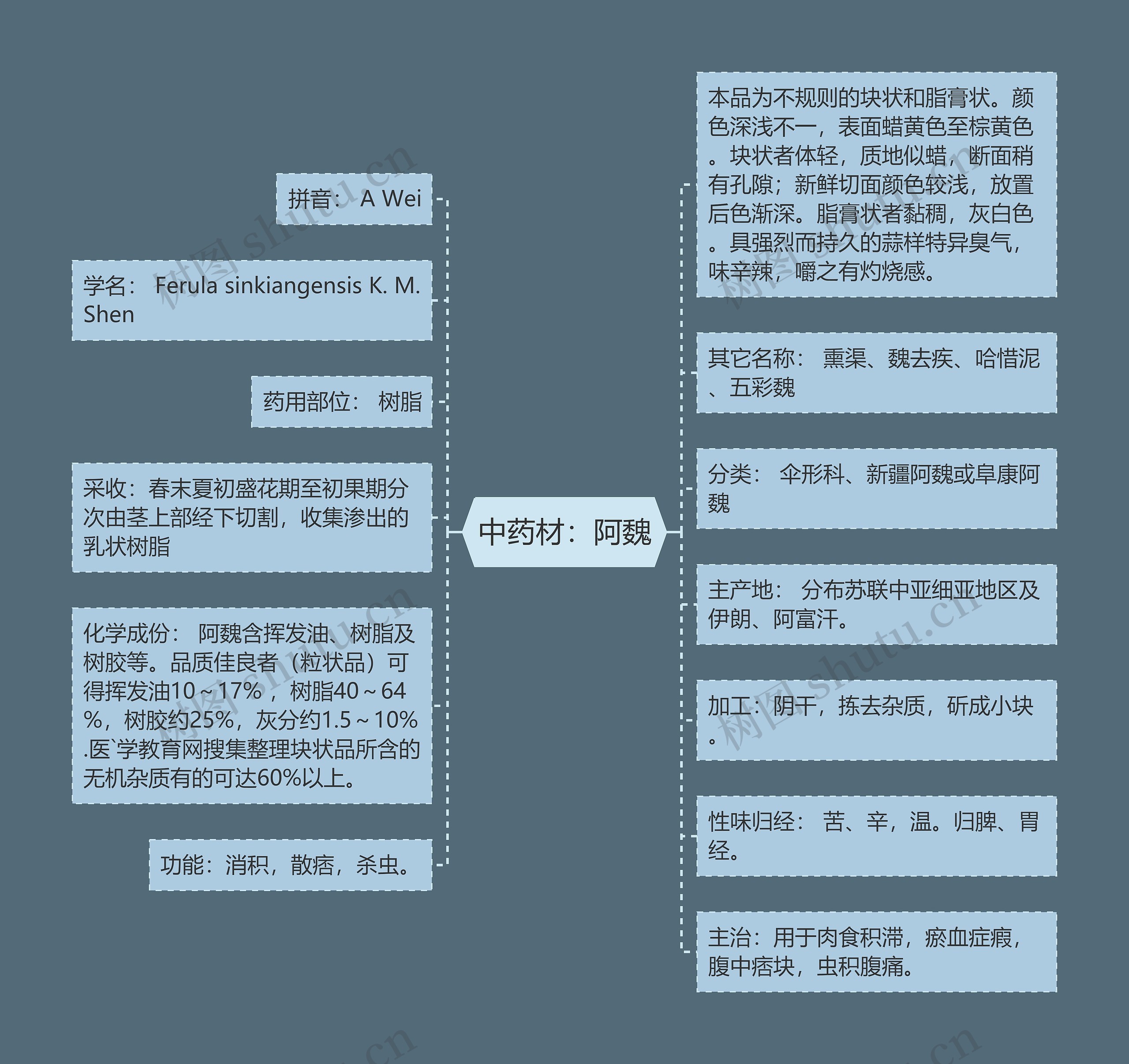 中药材：阿魏思维导图