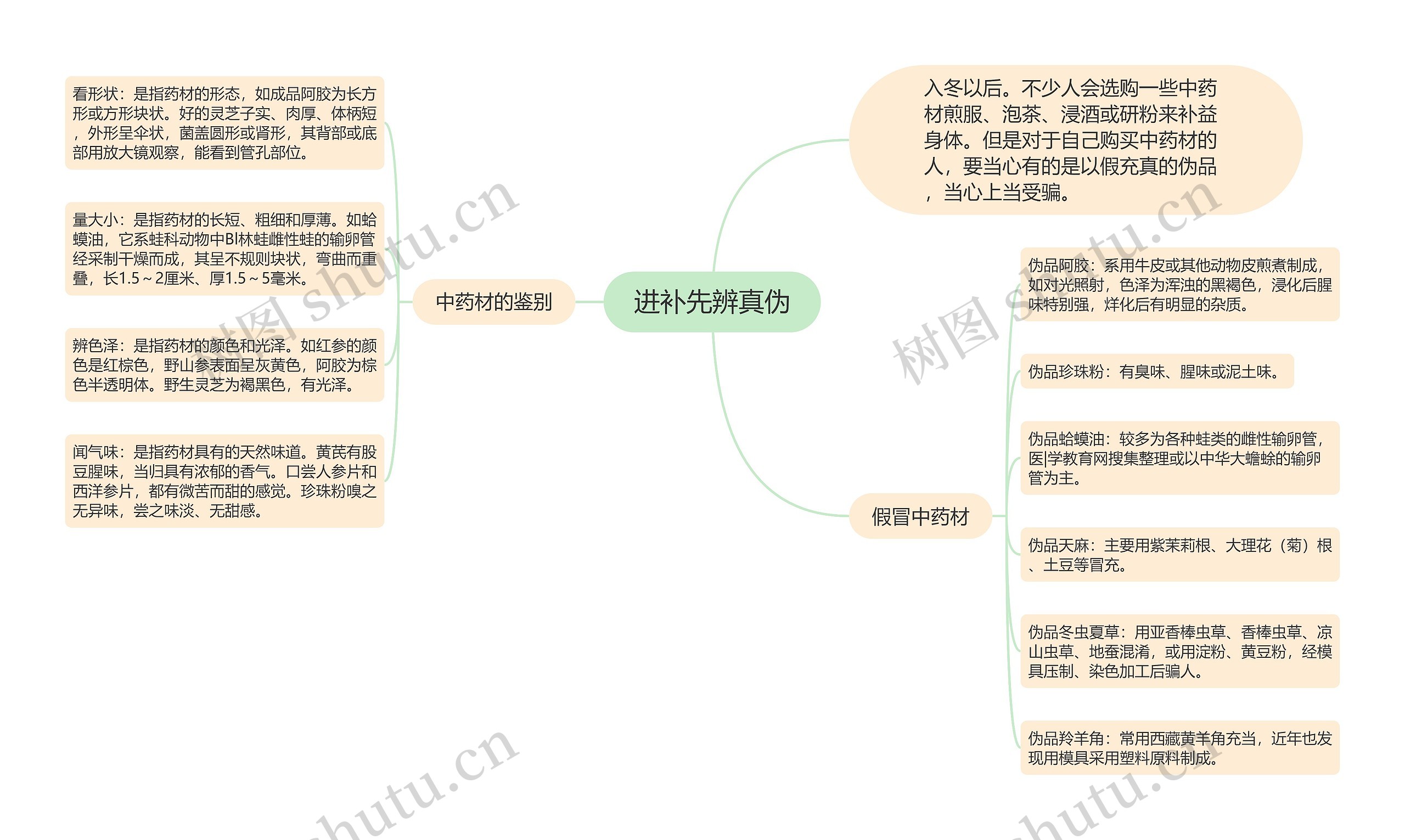 进补先辨真伪思维导图