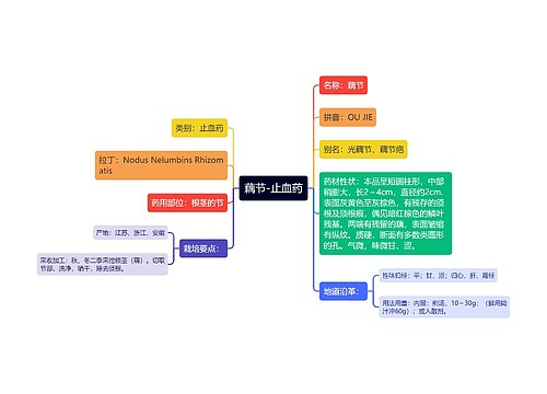 藕节-止血药思维导图