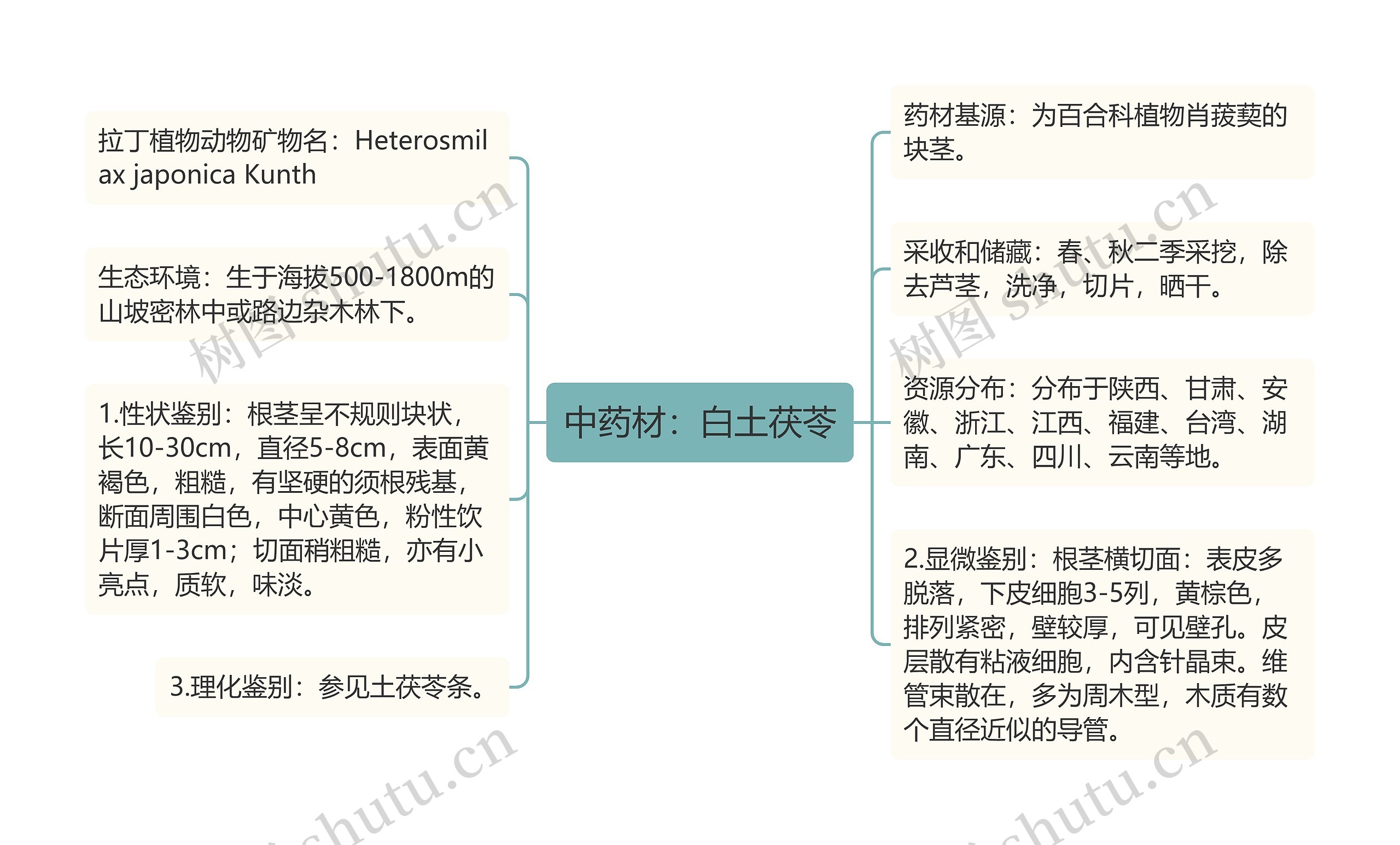 中药材：白土茯苓思维导图