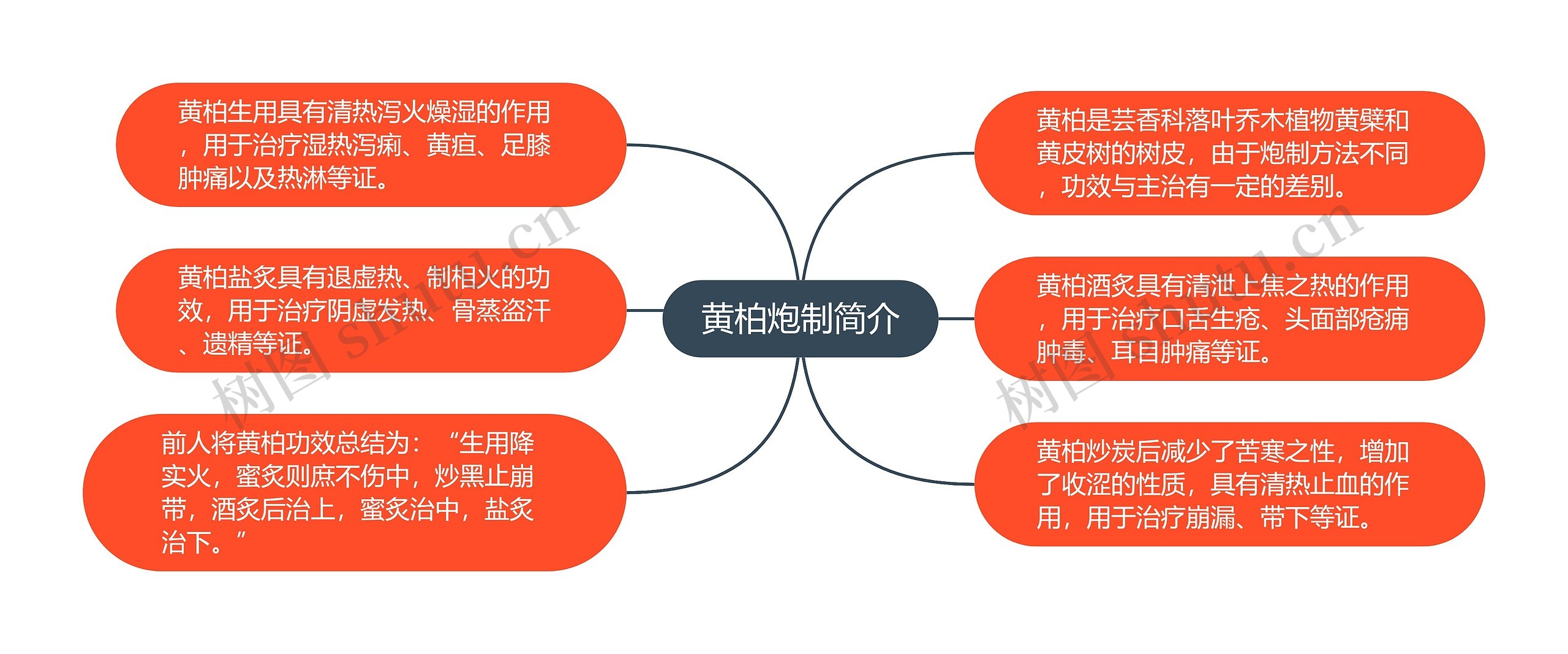 黄柏炮制简介思维导图