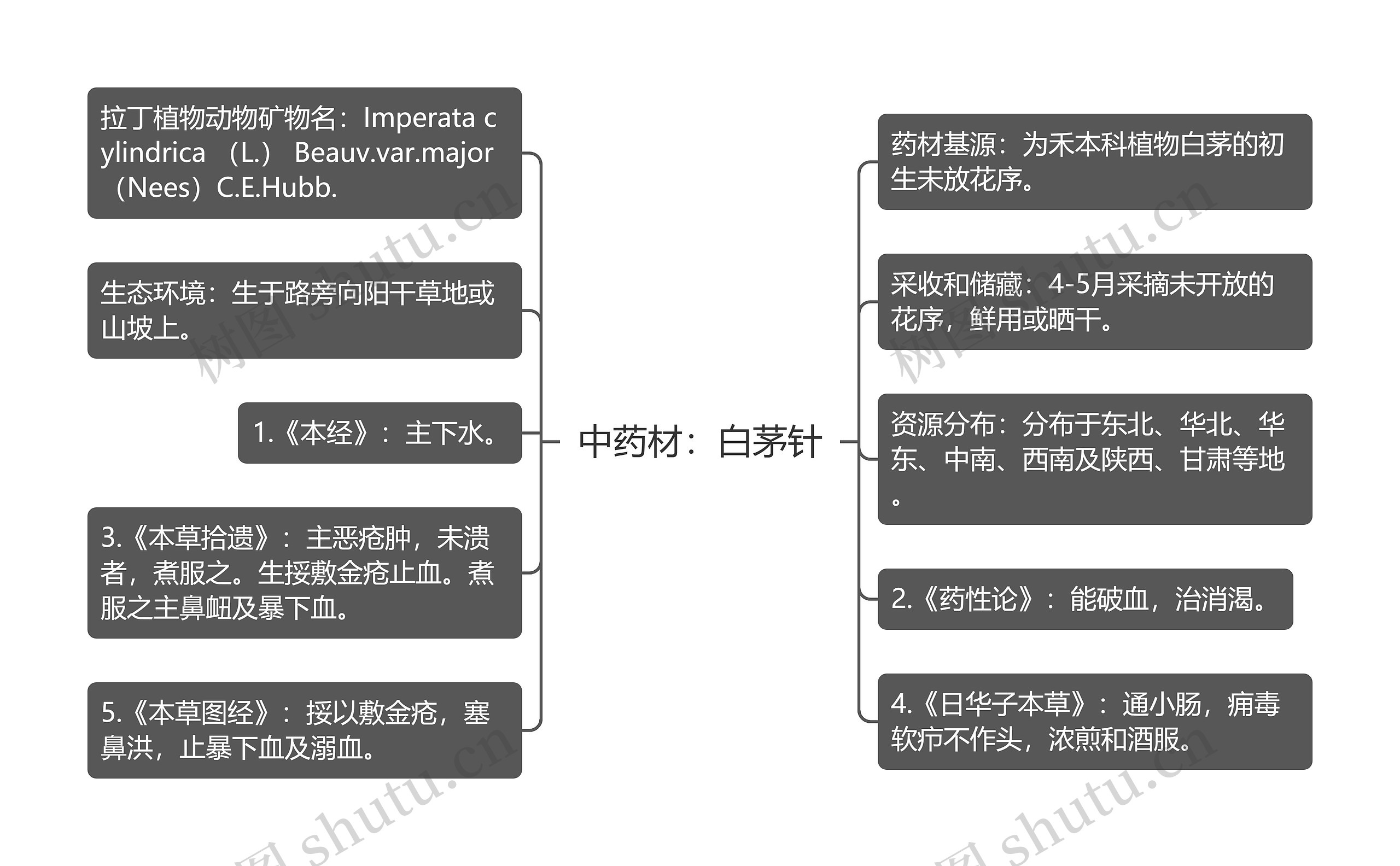 中药材：白茅针思维导图