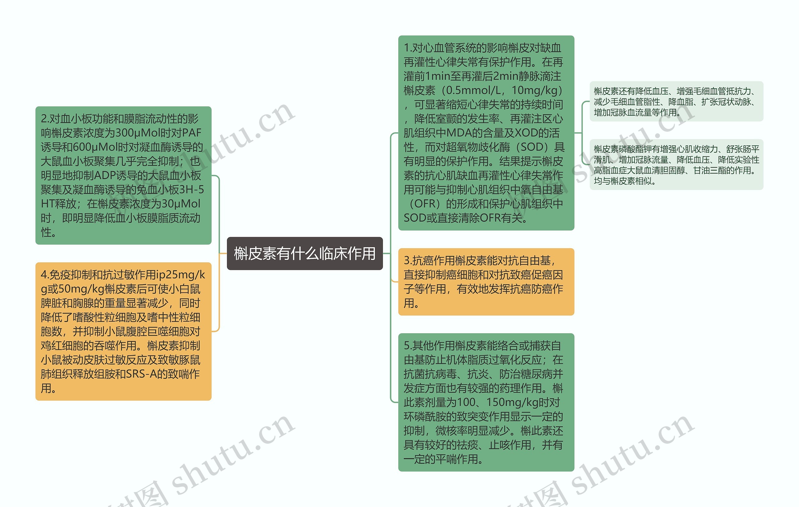 槲皮素有什么临床作用思维导图