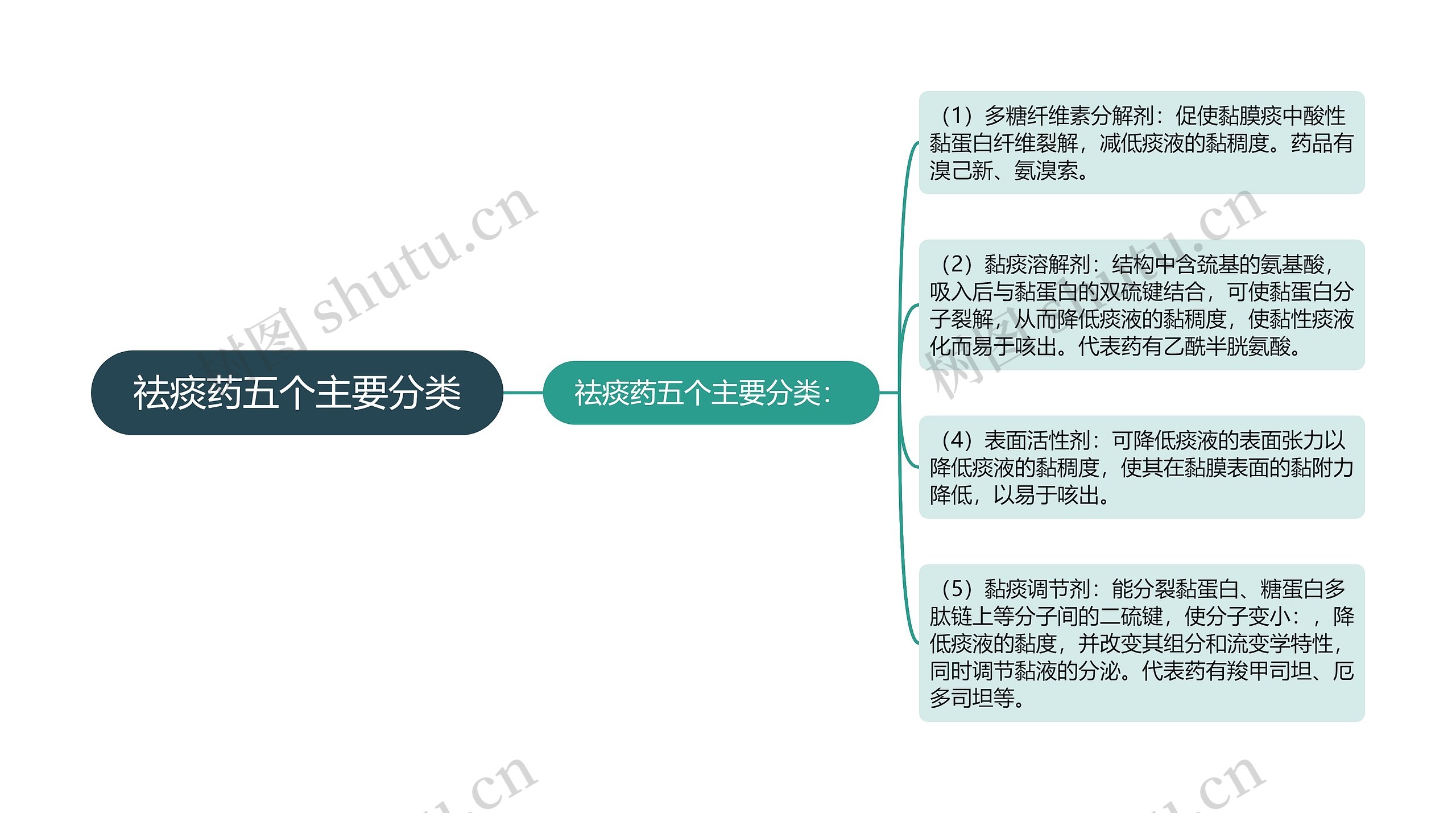 祛痰药五个主要分类思维导图