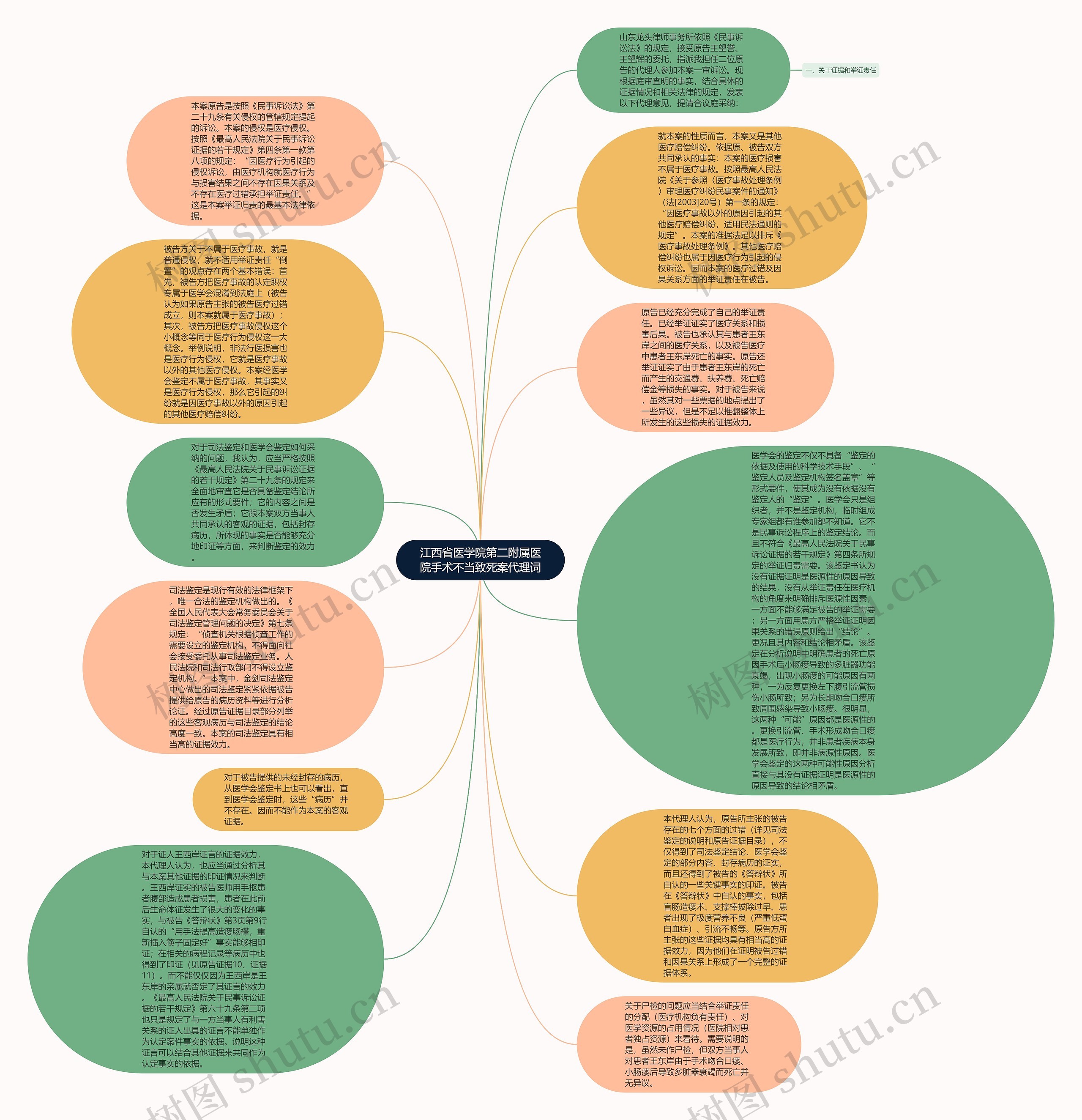 江西省医学院第二附属医院手术不当致死案代理词思维导图