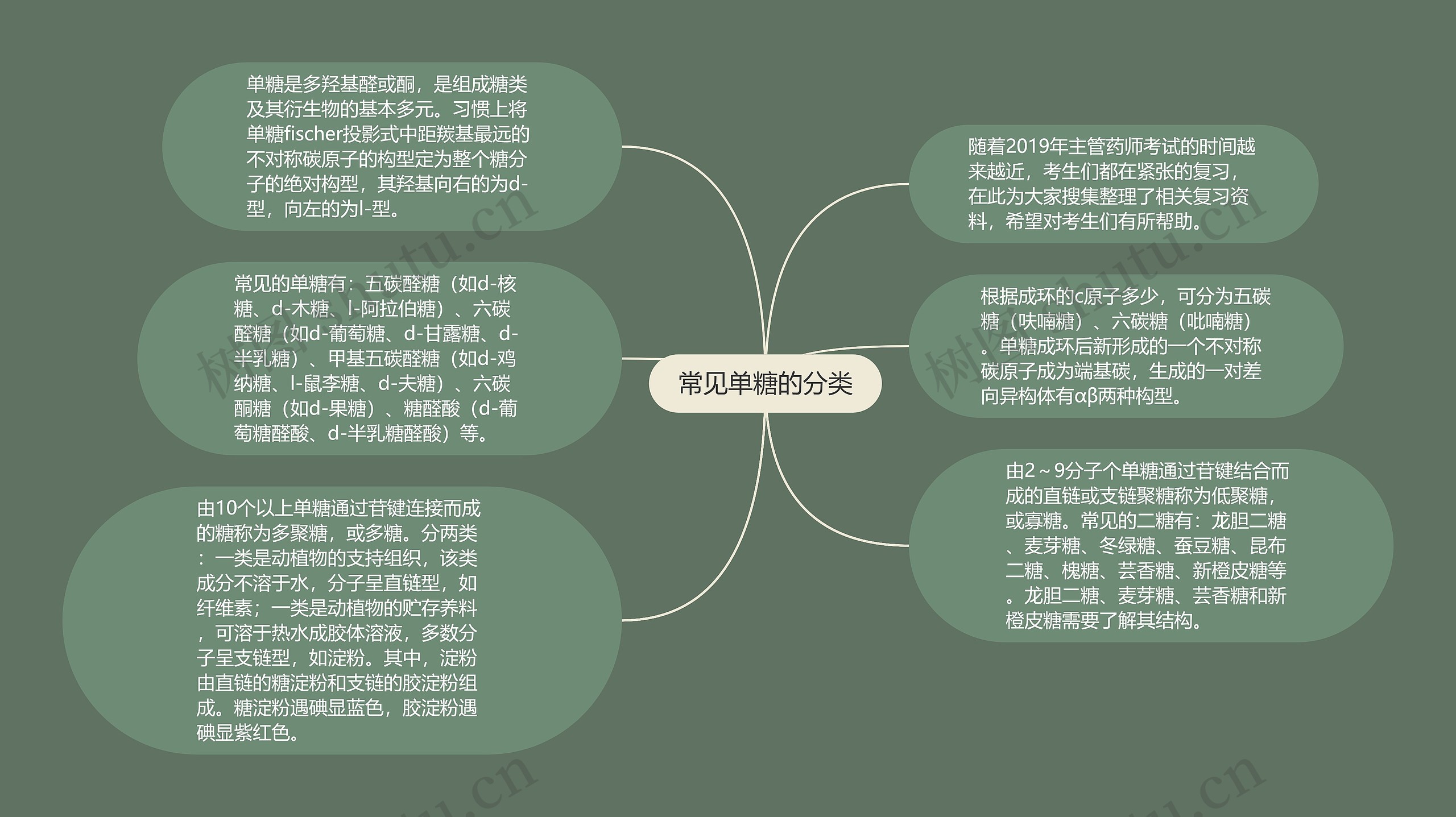 常见单糖的分类思维导图