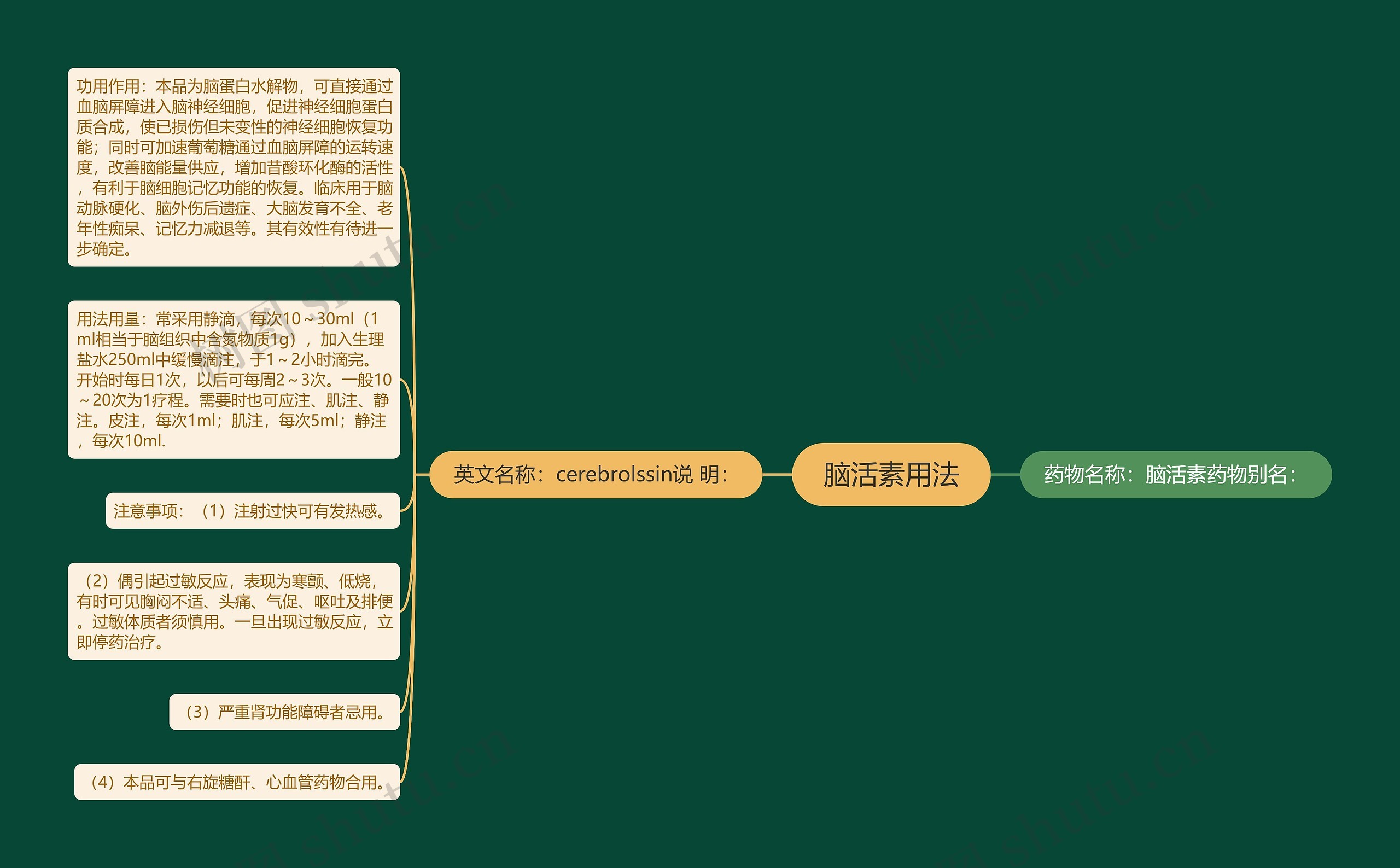 脑活素用法思维导图