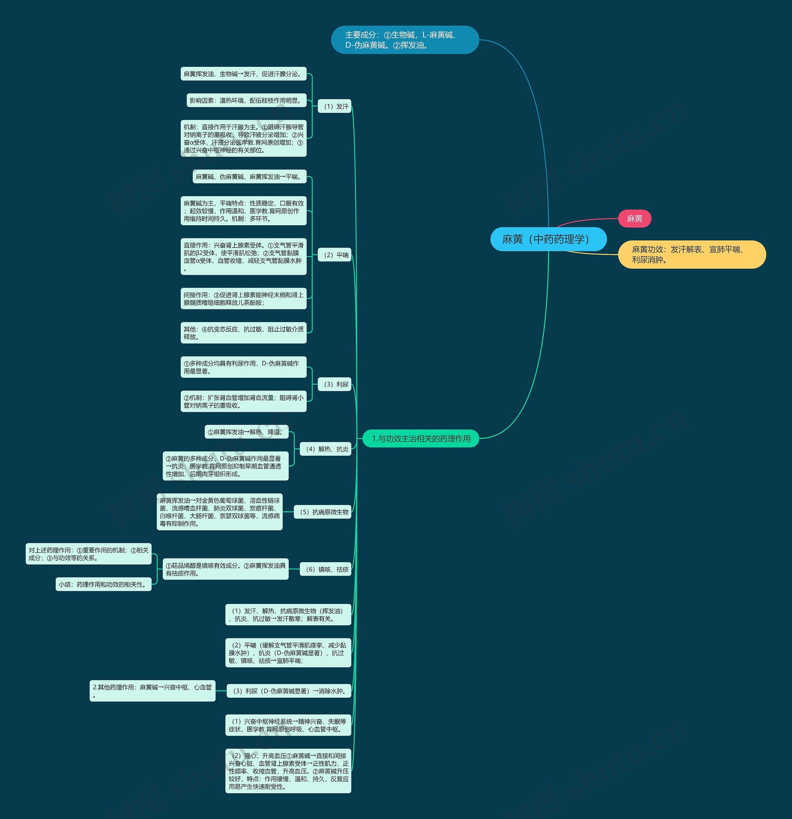 麻黄（中药药理学）思维导图