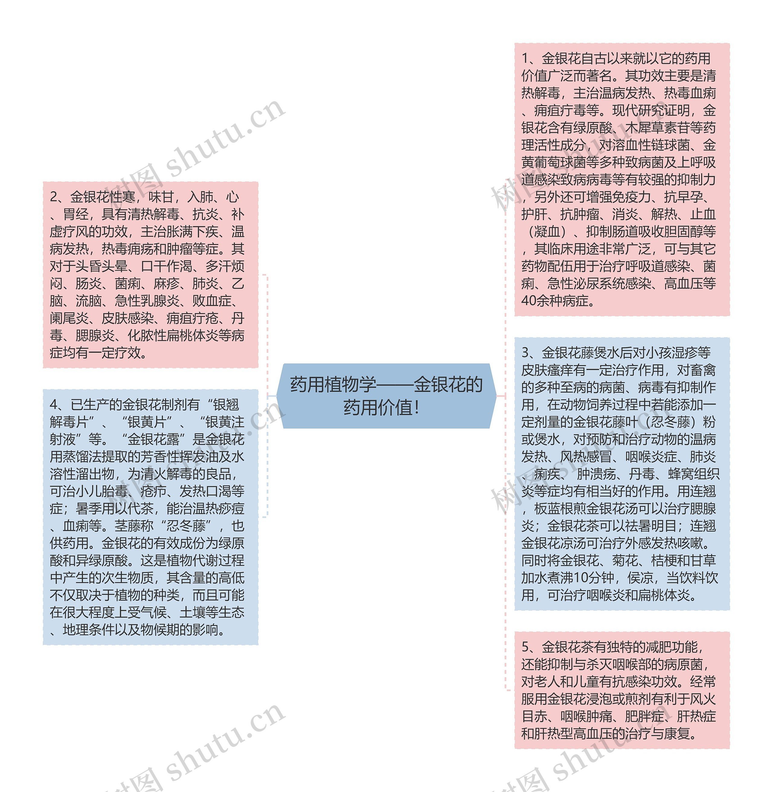 药用植物学——金银花的药用价值！思维导图