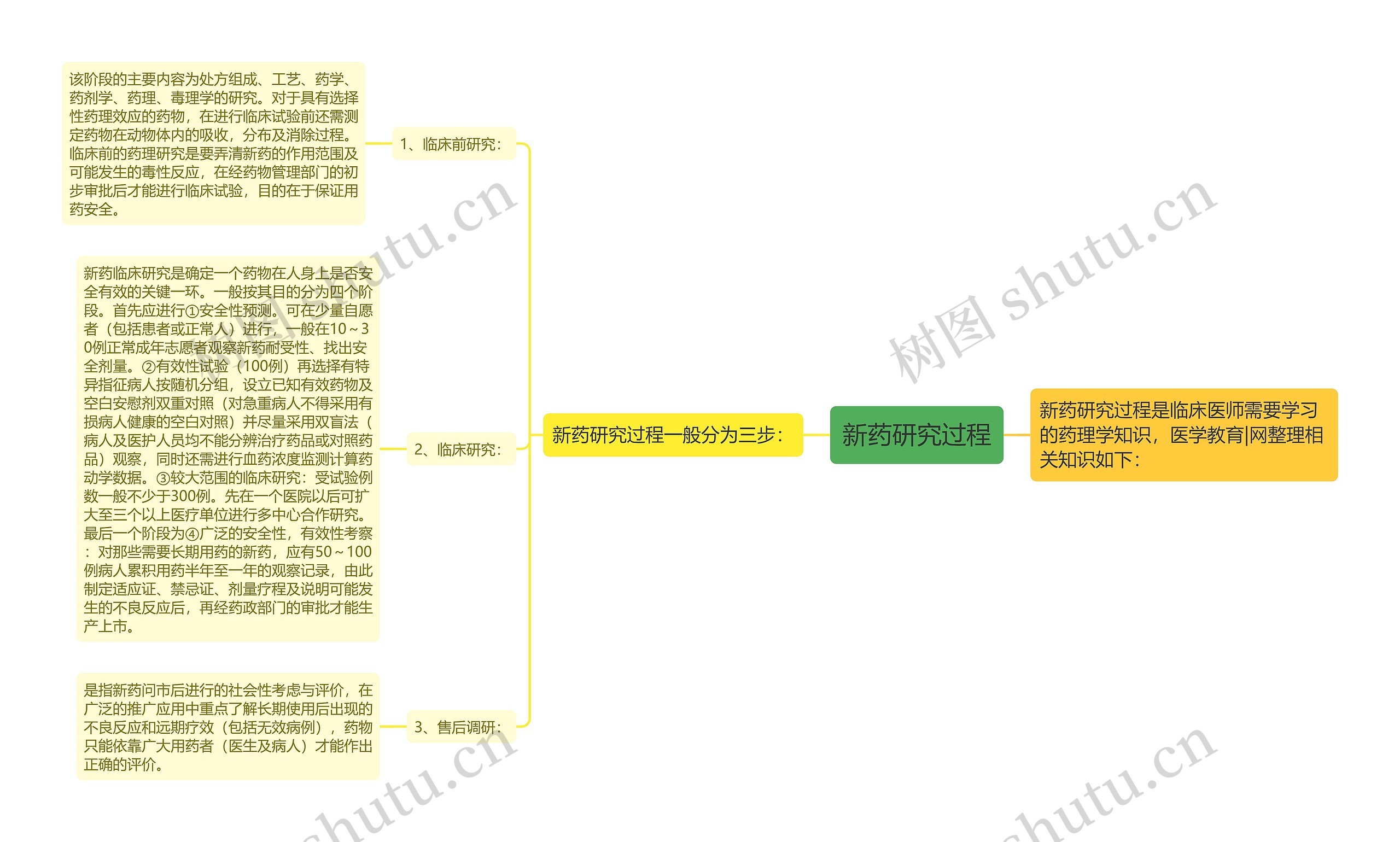 新药研究过程思维导图