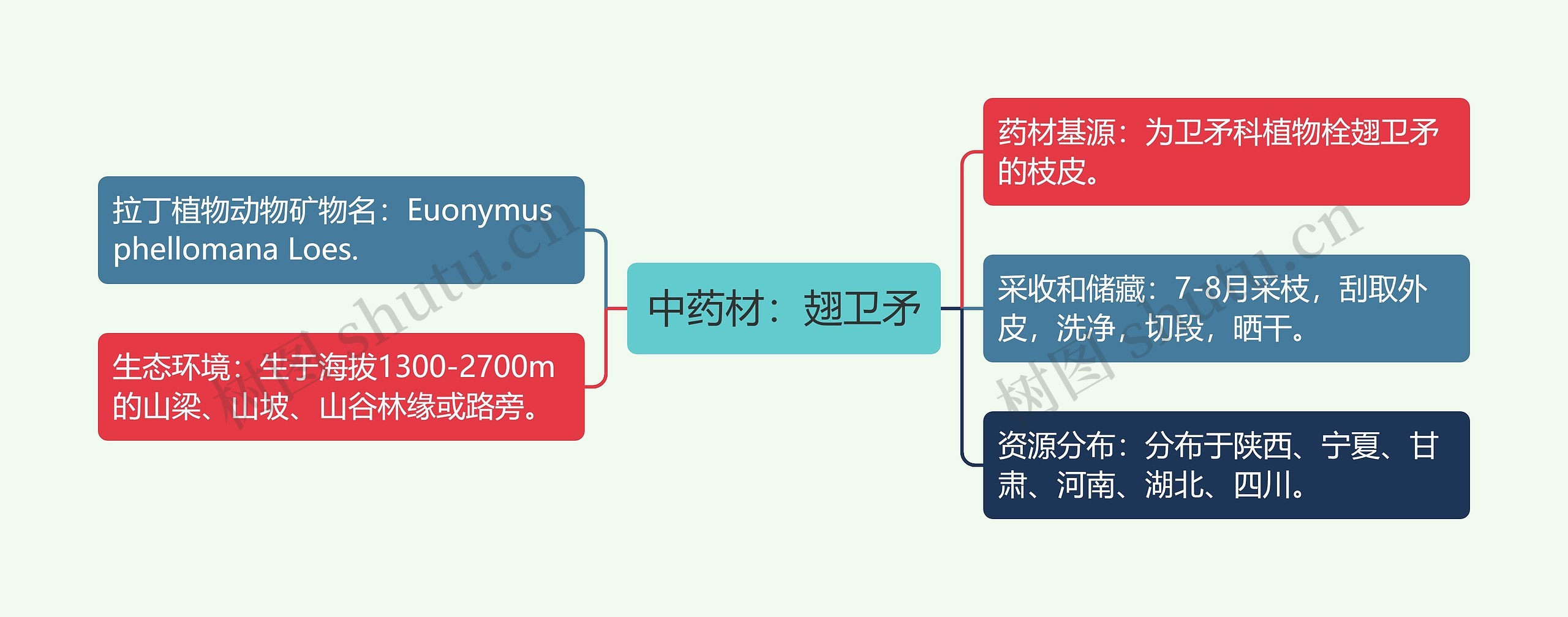 中药材：翅卫矛思维导图