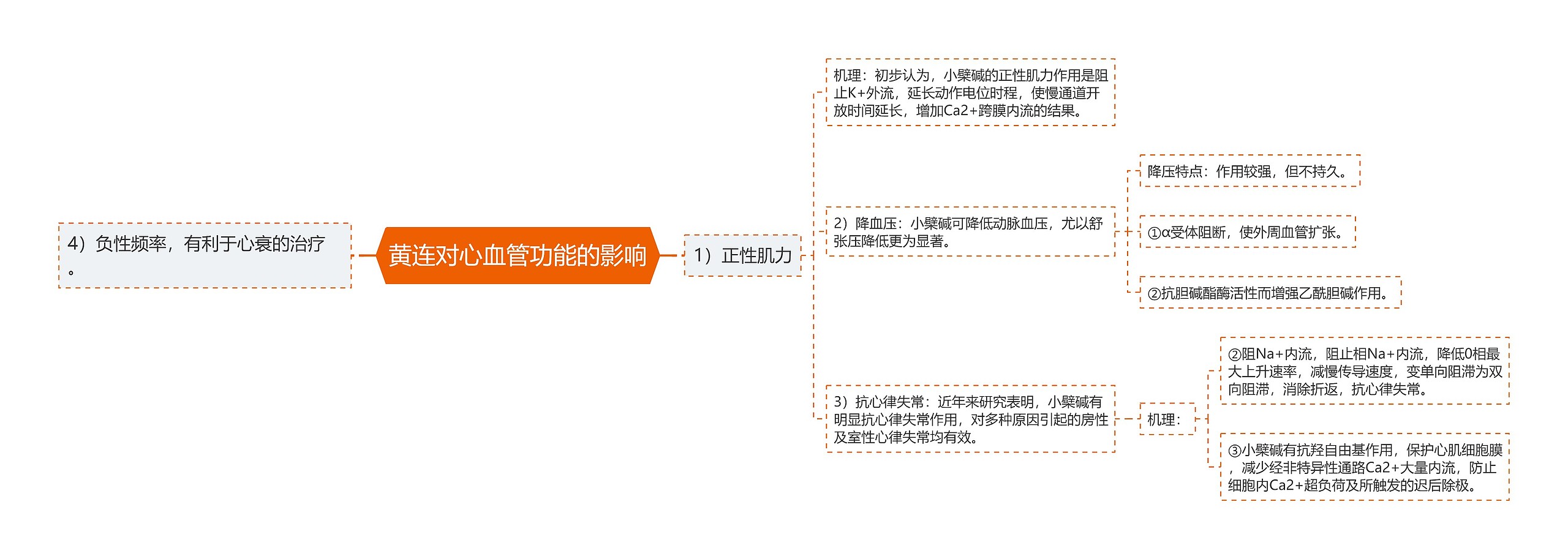 黄连对心血管功能的影响思维导图