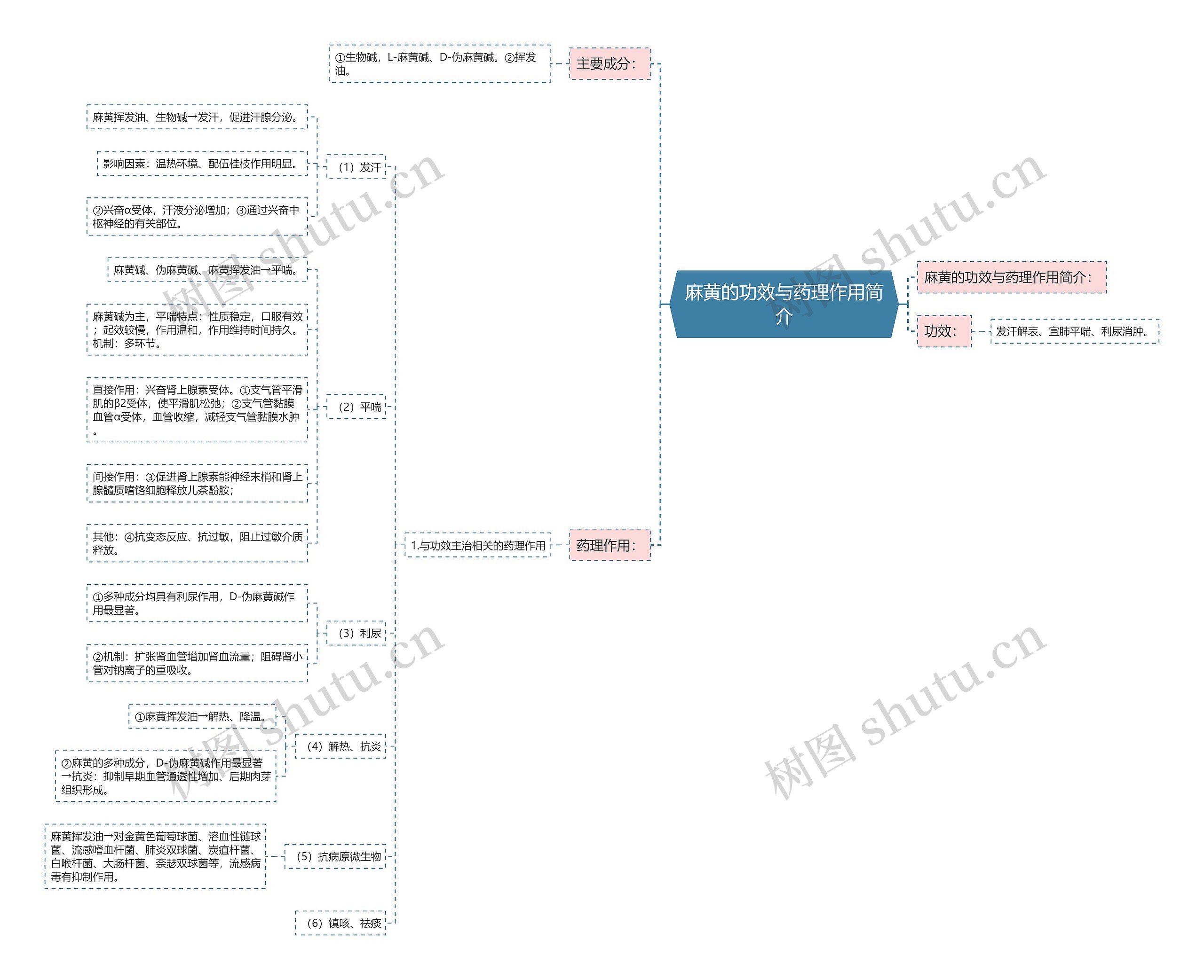 麻黄的功效与药理作用简介思维导图