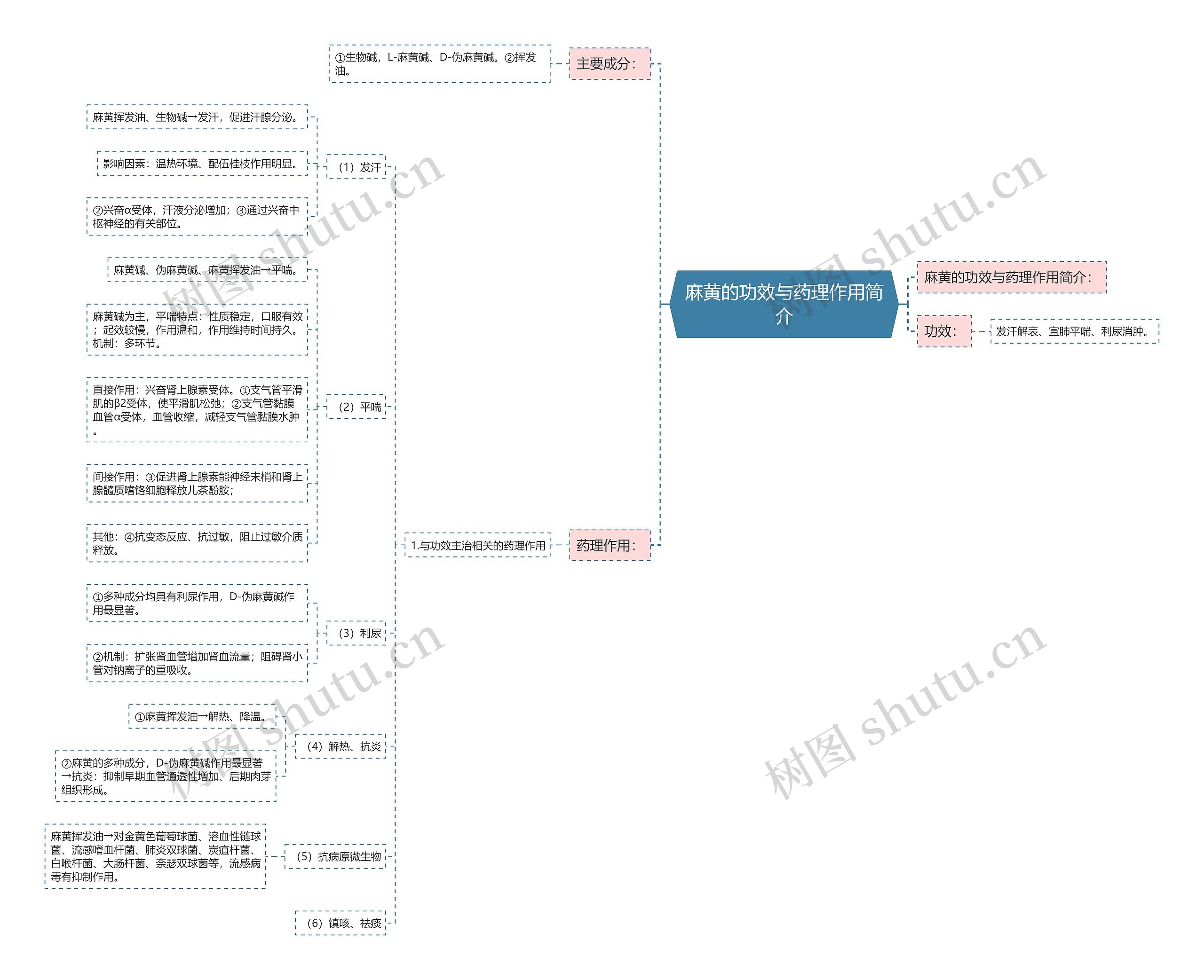 麻黄的功效与药理作用简介 麻黄的功效与药理作用简介