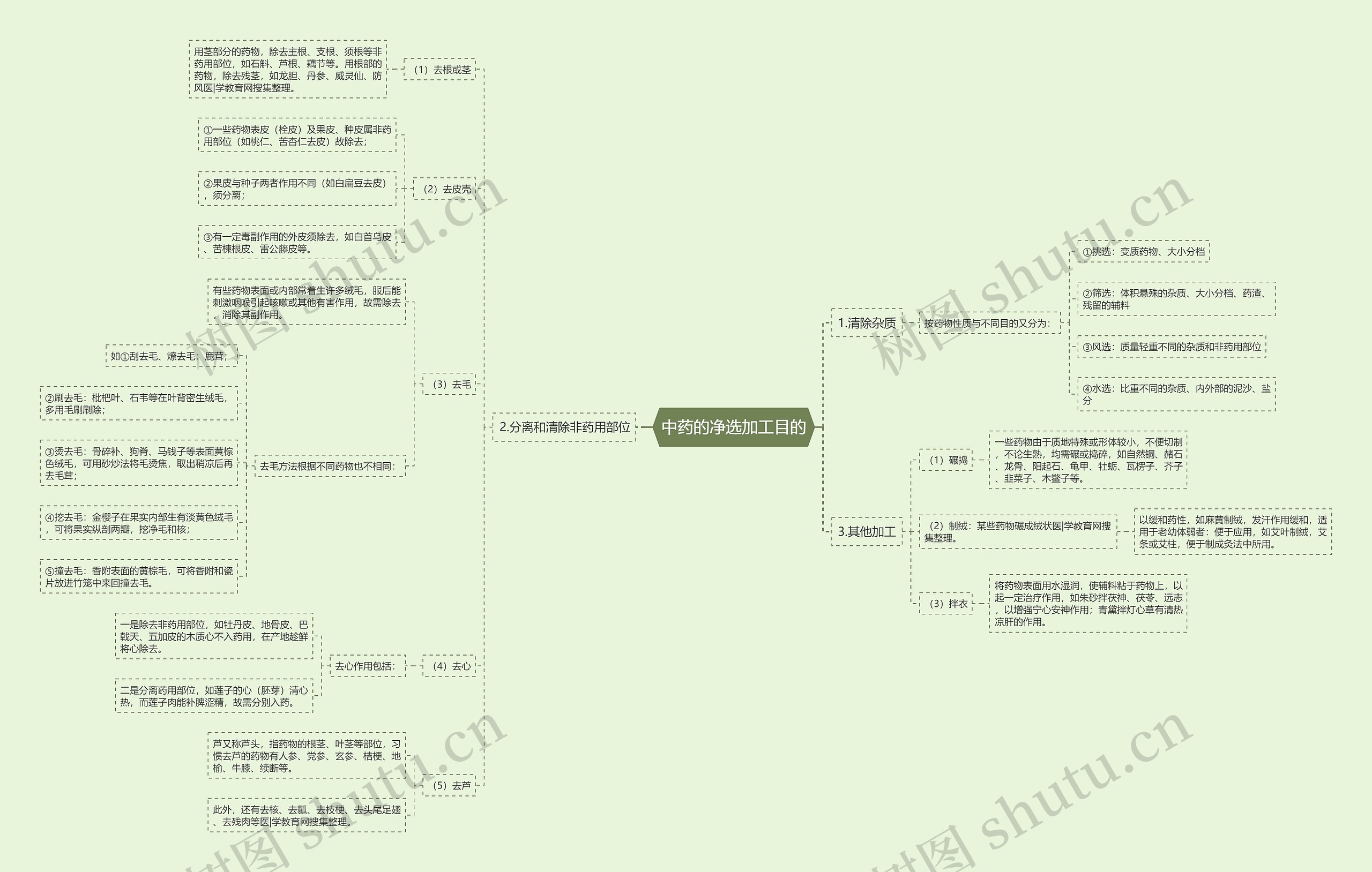 中药的净选加工目的思维导图