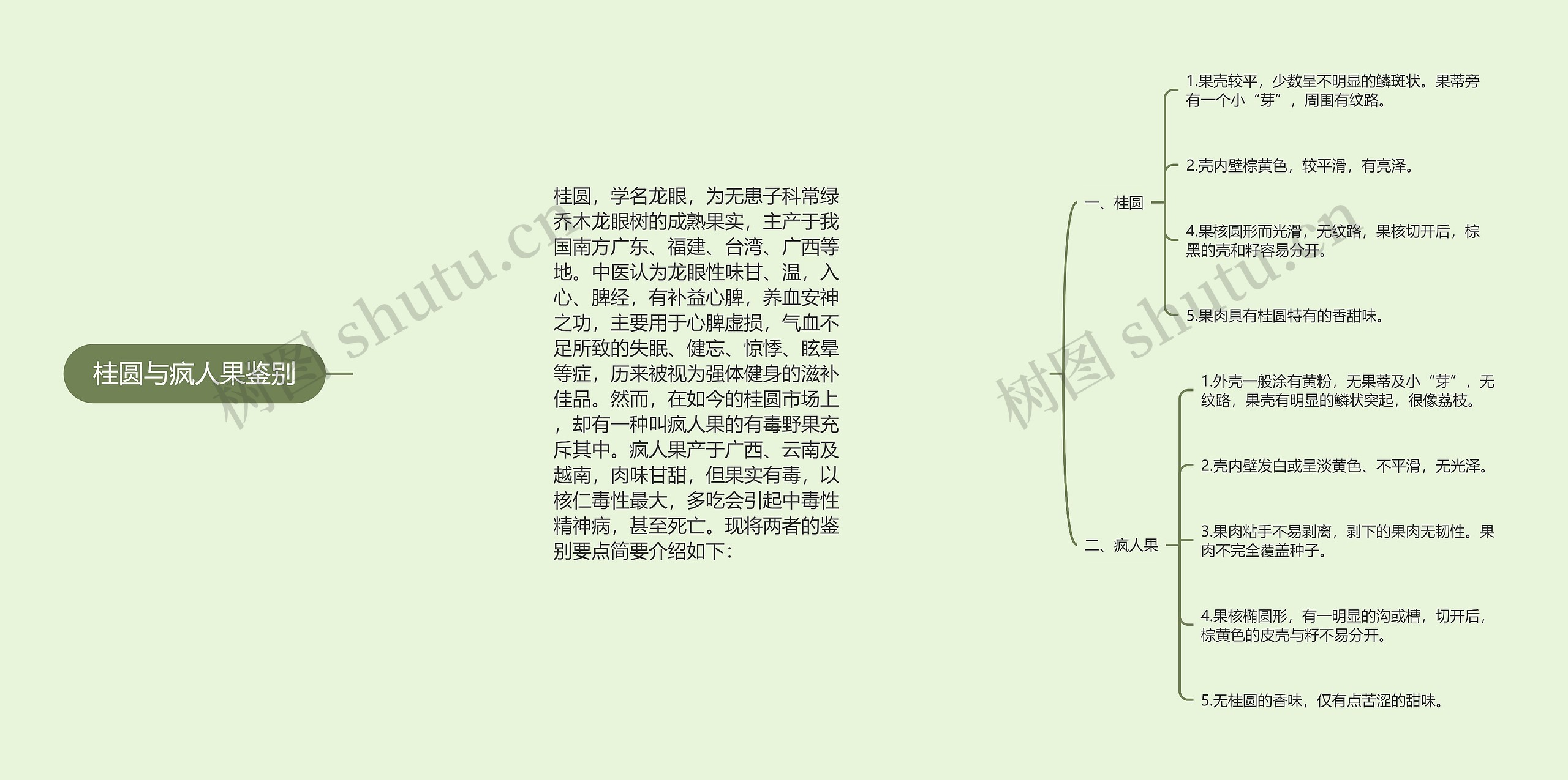 桂圆与疯人果鉴别