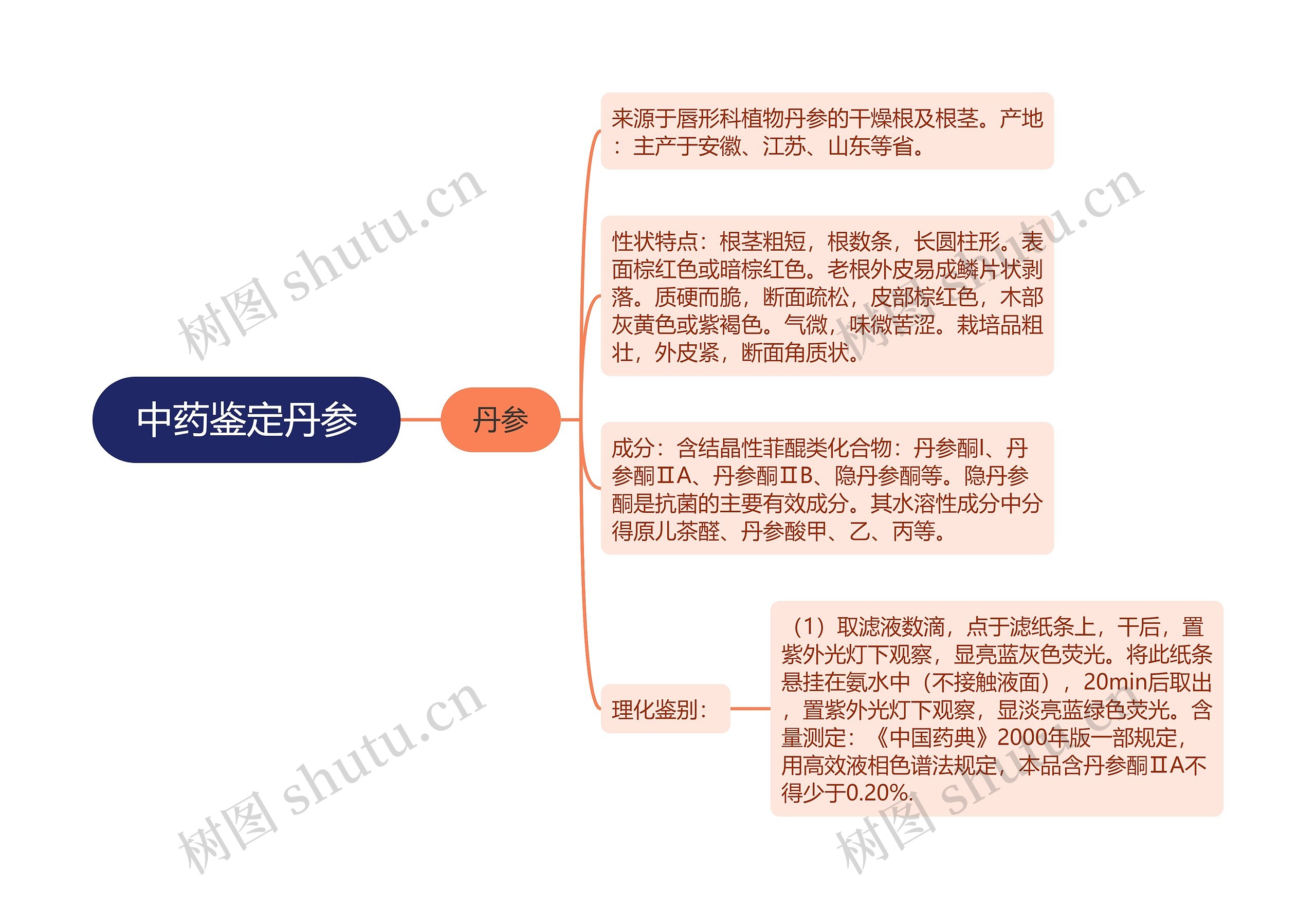 中药鉴定丹参思维导图