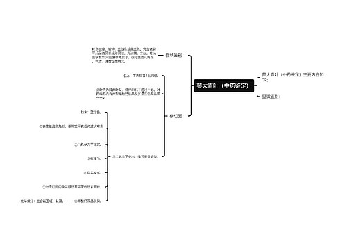 蓼大青叶（中药鉴定）思维导图