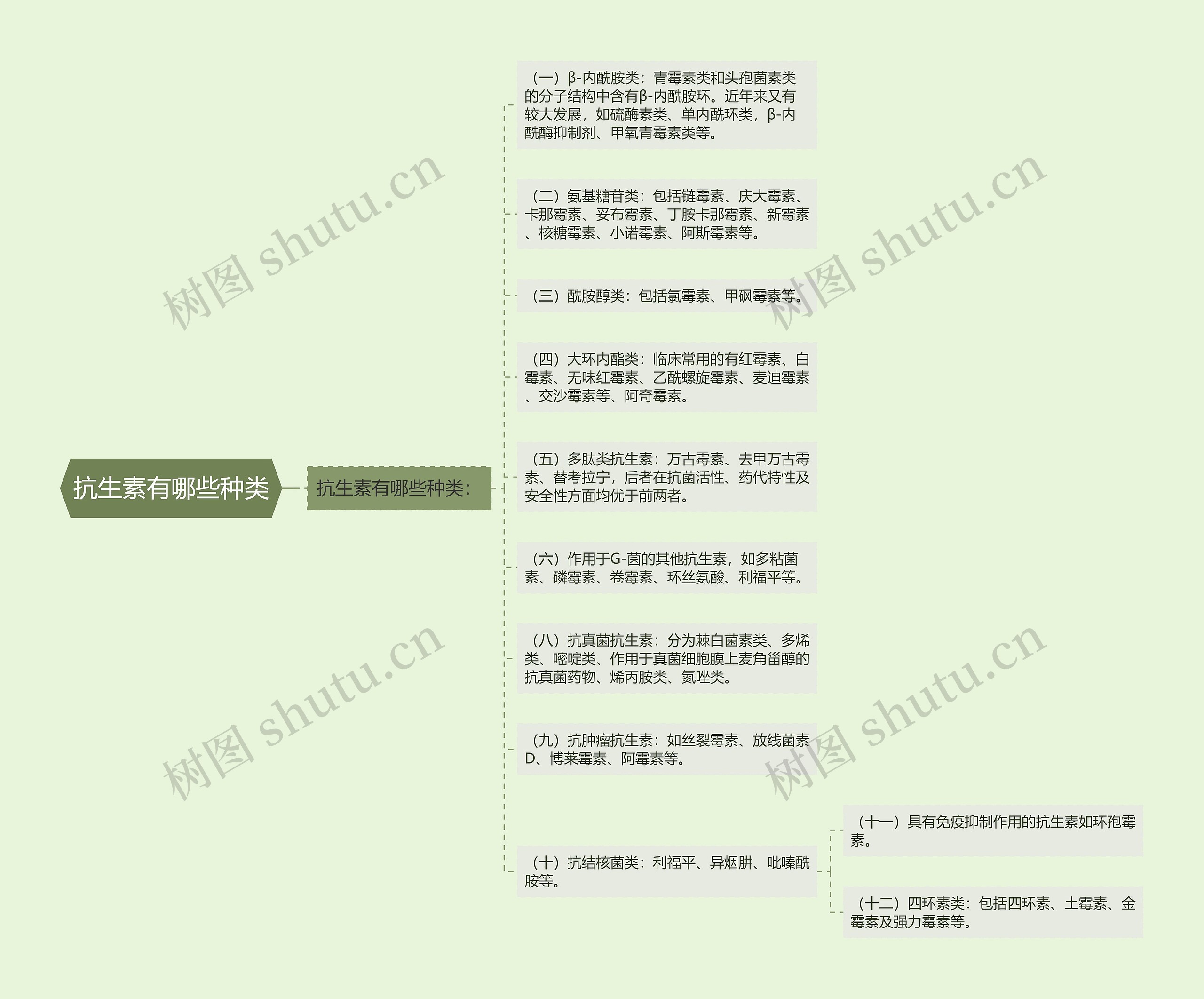 抗生素有哪些种类思维导图