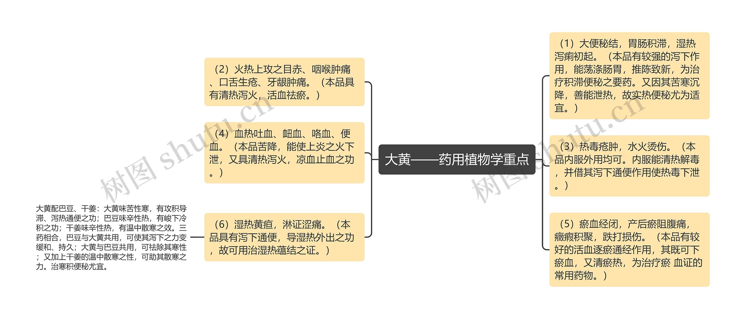 大黄——药用植物学重点