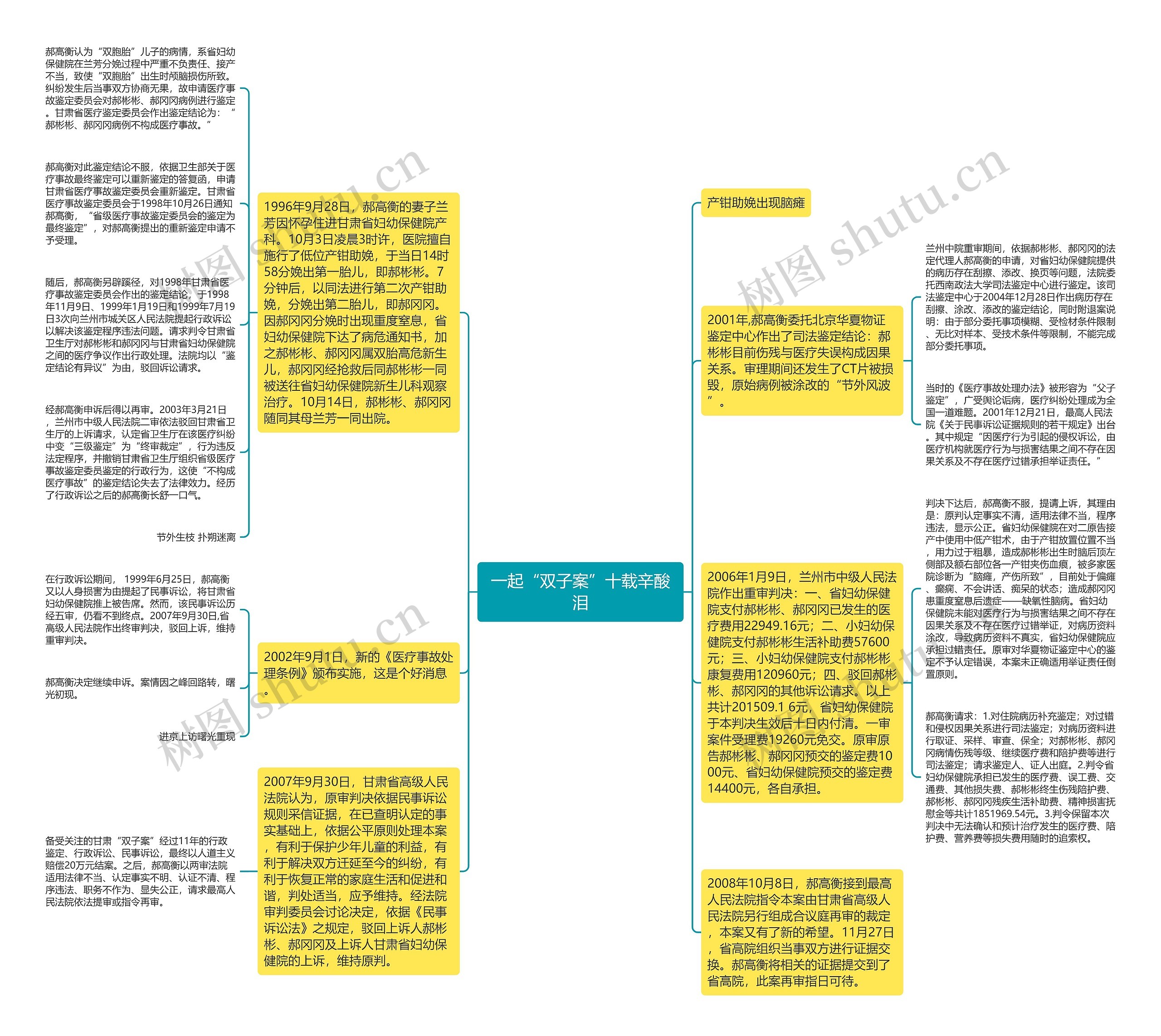 一起“双子案”十载辛酸泪思维导图