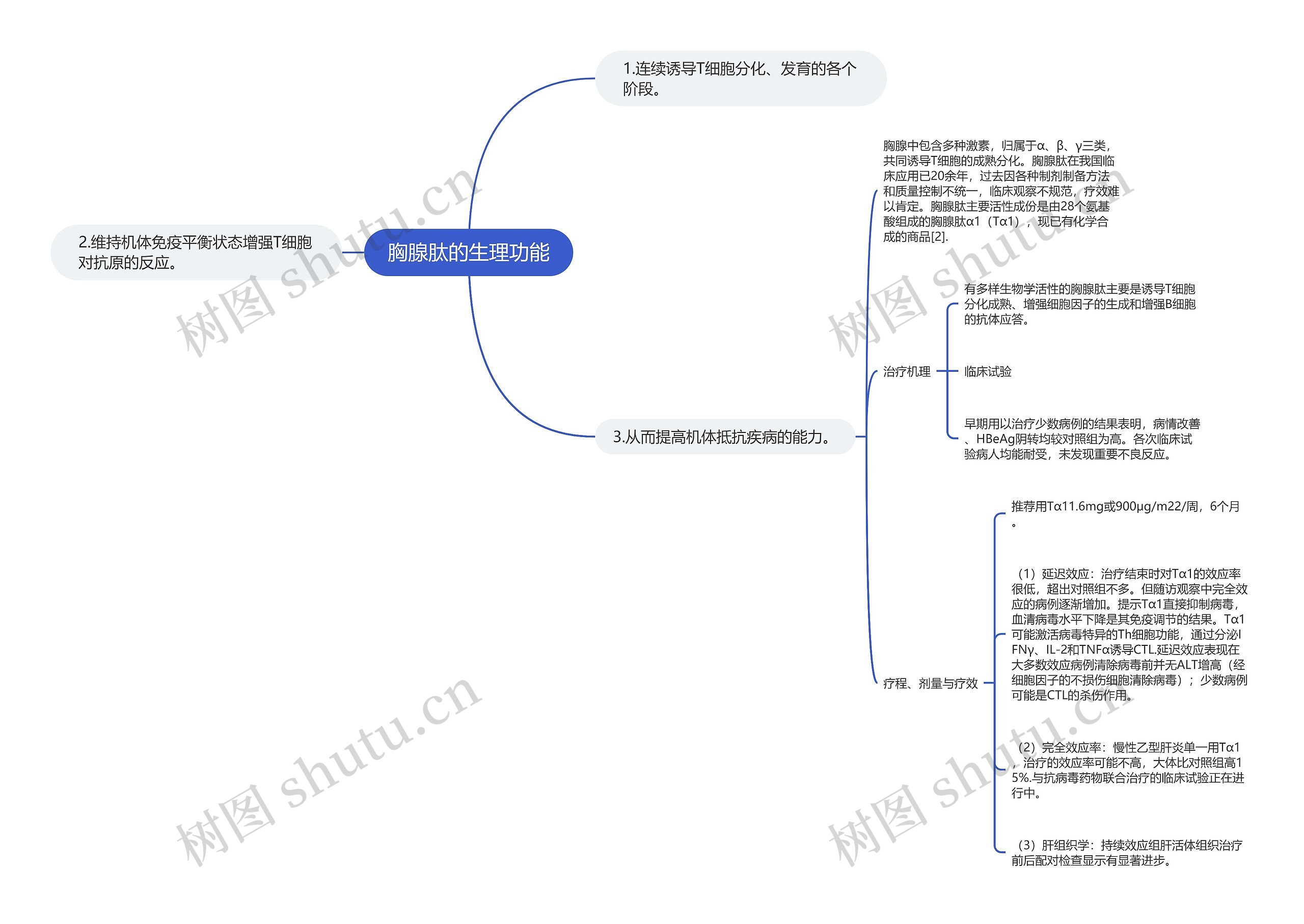 胸腺肽的生理功能思维导图