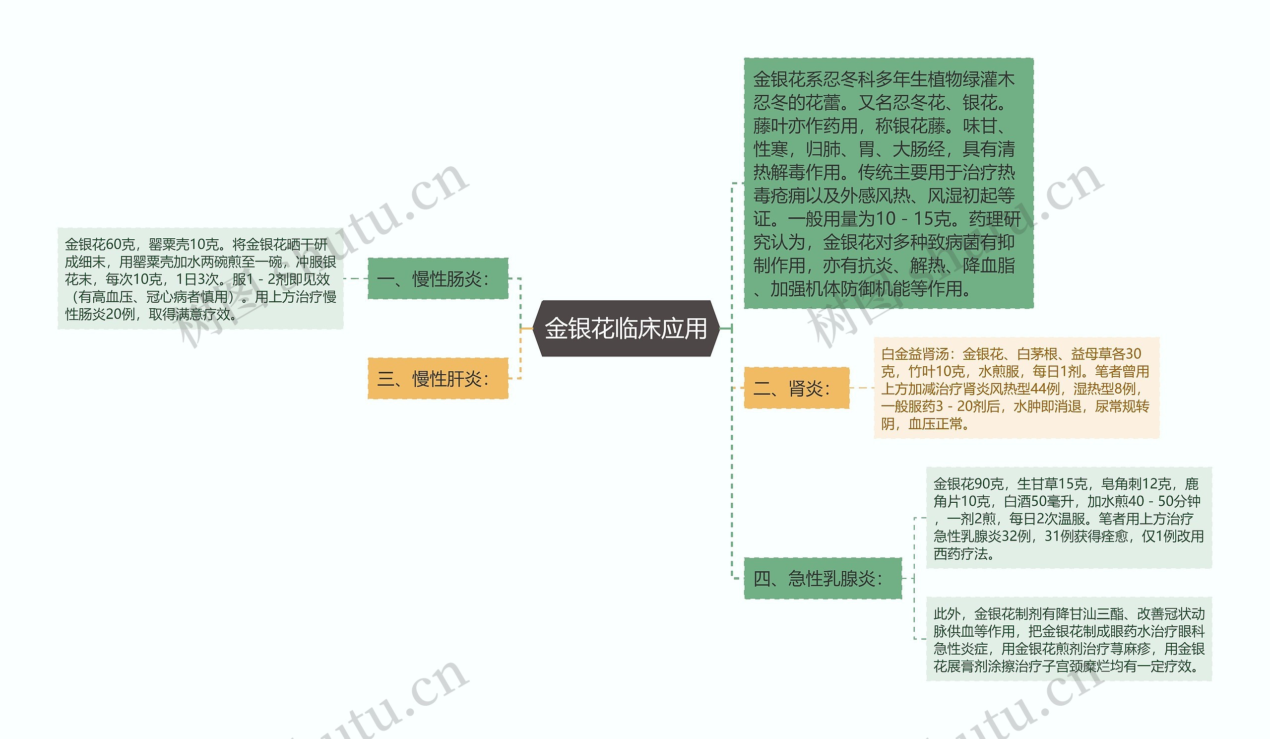 金银花临床应用思维导图