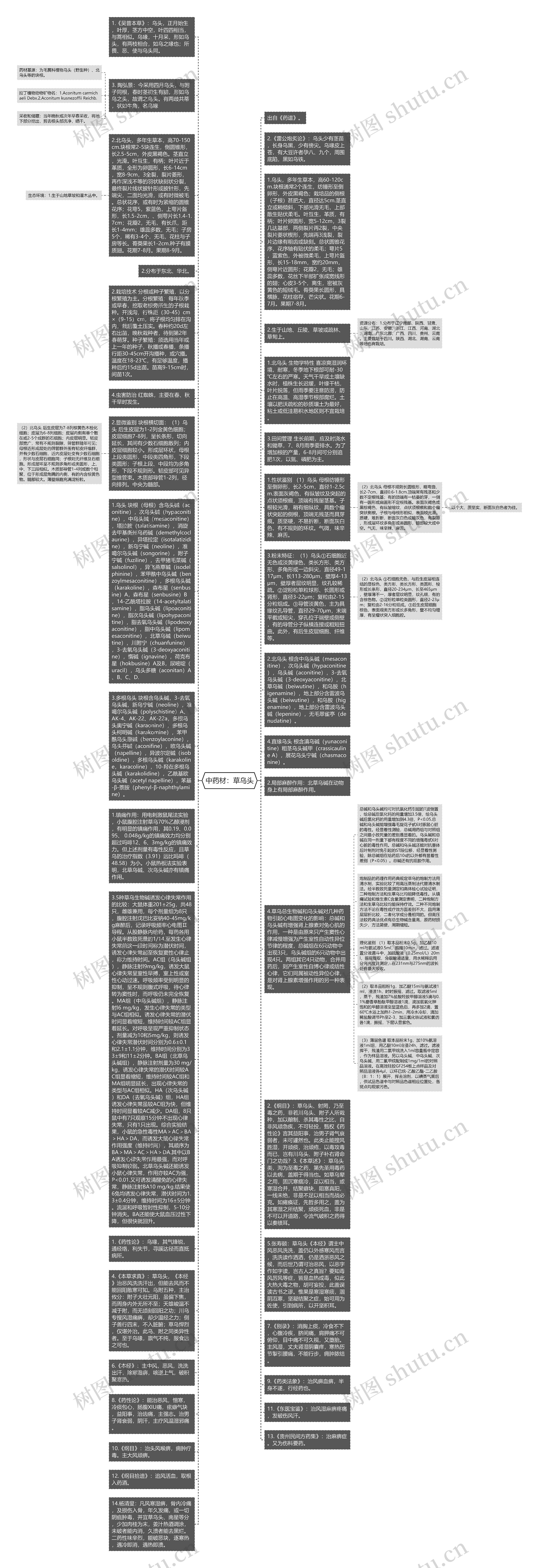 中药材：草乌头思维导图